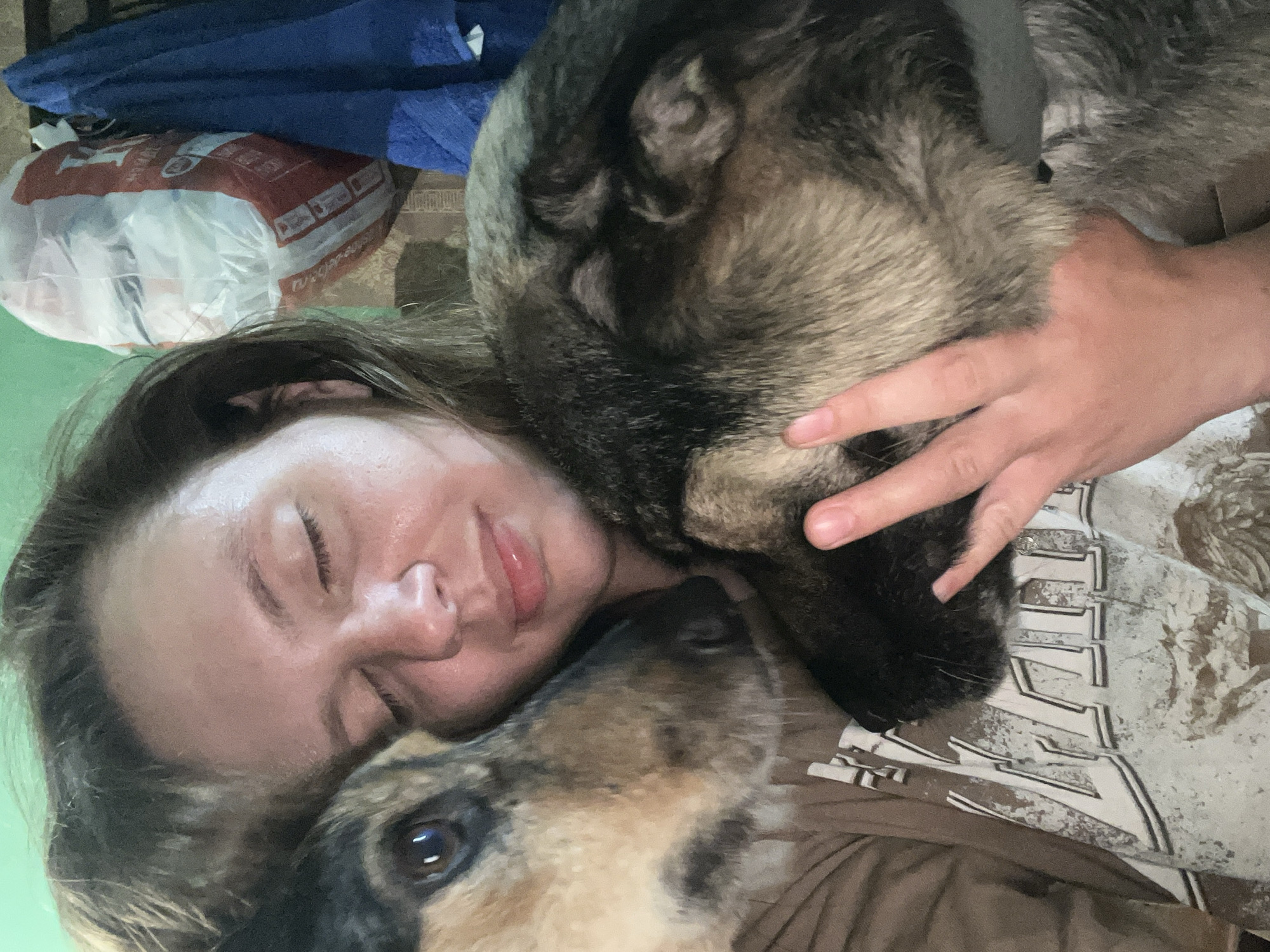 The image captures a tender, close-up moment featuring a young woman and two dogs in an indoor setting, possibly on a bed or floor in Nizhny Tagil, Russia. The woman lies horizontally, her eyes closed or nearly closed, exhibiting a peaceful and relaxed expression, indicative of comfort and contentment. Her dark hair is casually spread around her head.
She shares an intimate space with two dogs. A large dog, likely a German Shepherd or similar breed with grey and black fur, rests its head closely beside the woman's face. Her left hand is gently placed on the dog's fur, suggesting petting or a comforting embrace. A second, smaller dog, with brown, black, and tan markings, is also visible looking up towards the woman from the lower part of the frame, its eye clearly reflected. The scene radiates affection and strong emotional bonding.
In the background, a crumpled blue fabric, possibly a towel or blanket, is visible. Adjacent to it is a white plastic bag with red text, partially readable as "п/сорт" (p/sort or polysort) and "2000г" (2000g or 2kg), typical markings for a grocery or produce bag in Russia. The woman is wearing a light brown or khaki t-shirt featuring a large, distressed white graphic design or text that is not distinctly decipherable. The soft, ambient lighting suggests an indoor environment. The overall mood conveys quiet companionship and deep relaxation.