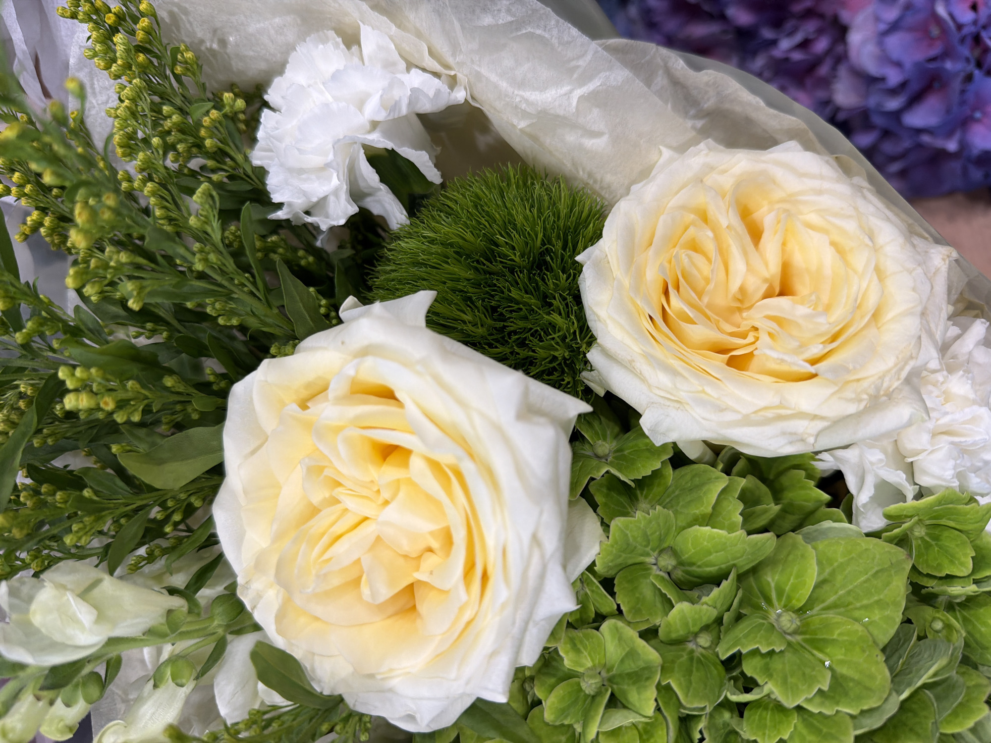 A close-up, overhead shot shows a bouquet of flowers, predominantly featuring light yellow roses with ruffled petals. The roses are nestled amongst lush green foliage, including what appear to be hydrangeas with textured, scalloped leaves, and delicate white flowers that resemble snapdragons or carnations. A spiky, lime-green flower is visible in the center of the bouquet. The flowers are wrapped in a light, textured paper. The background is softly blurred, with hints of deep purple and pink flowers, suggesting they are part of the same arrangement or a nearby display. The lighting is soft, highlighting the delicate textures of the petals and leaves. There are no people or specific landmarks visible.
