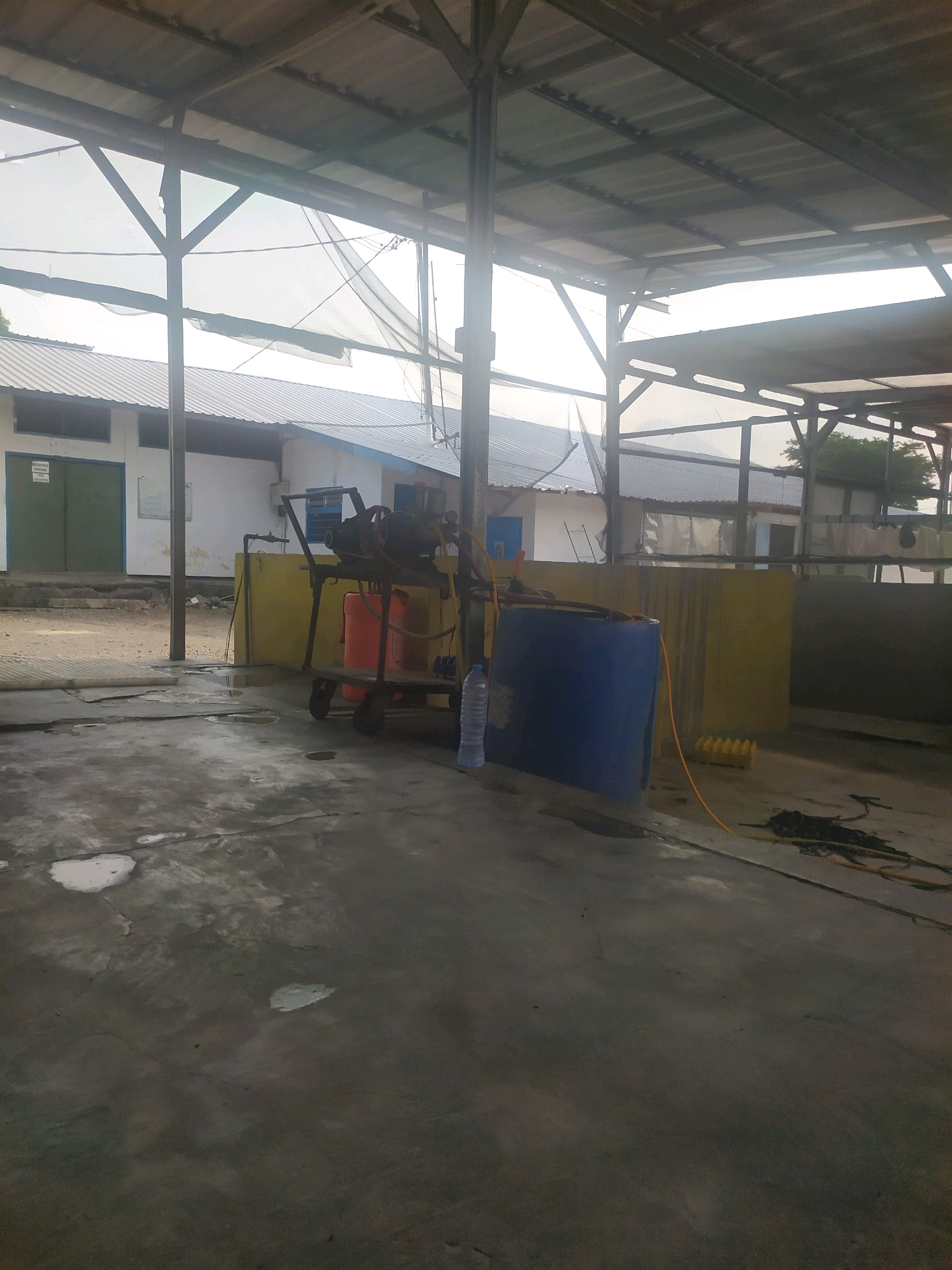 This is a forensic, matter-of-fact description of an outdoor scene, likely a workshop or storage area, in Winong, Indonesia. The scene is partially covered by a corrugated metal roof supported by a metal frame structure. The ground is concrete, showing signs of wear and damp patches.
In the background, a white building with a sloped roof is visible, featuring green doors on the left and windows. Adjacent to this building, a yellow wall section stands.
In the mid-ground, a red wheeled cart is positioned under the covered area. On top of the cart, a piece of machinery, possibly a pump or compressor with hoses attached, is present. Next to the cart, a large blue plastic barrel is situated. A single plastic water bottle is visible next to the blue barrel. An orange hose is connected to something unseen and extends towards the right side of the frame, where it lies on the ground alongside some black cables. A row of yellow objects, possibly bottles or containers, is partially visible against the yellow wall.
The lighting suggests it is daytime, with bright light coming from the sky, partially obscured by the roof. The overall environment appears functional rather than pristine. There are no people visible in the scene.