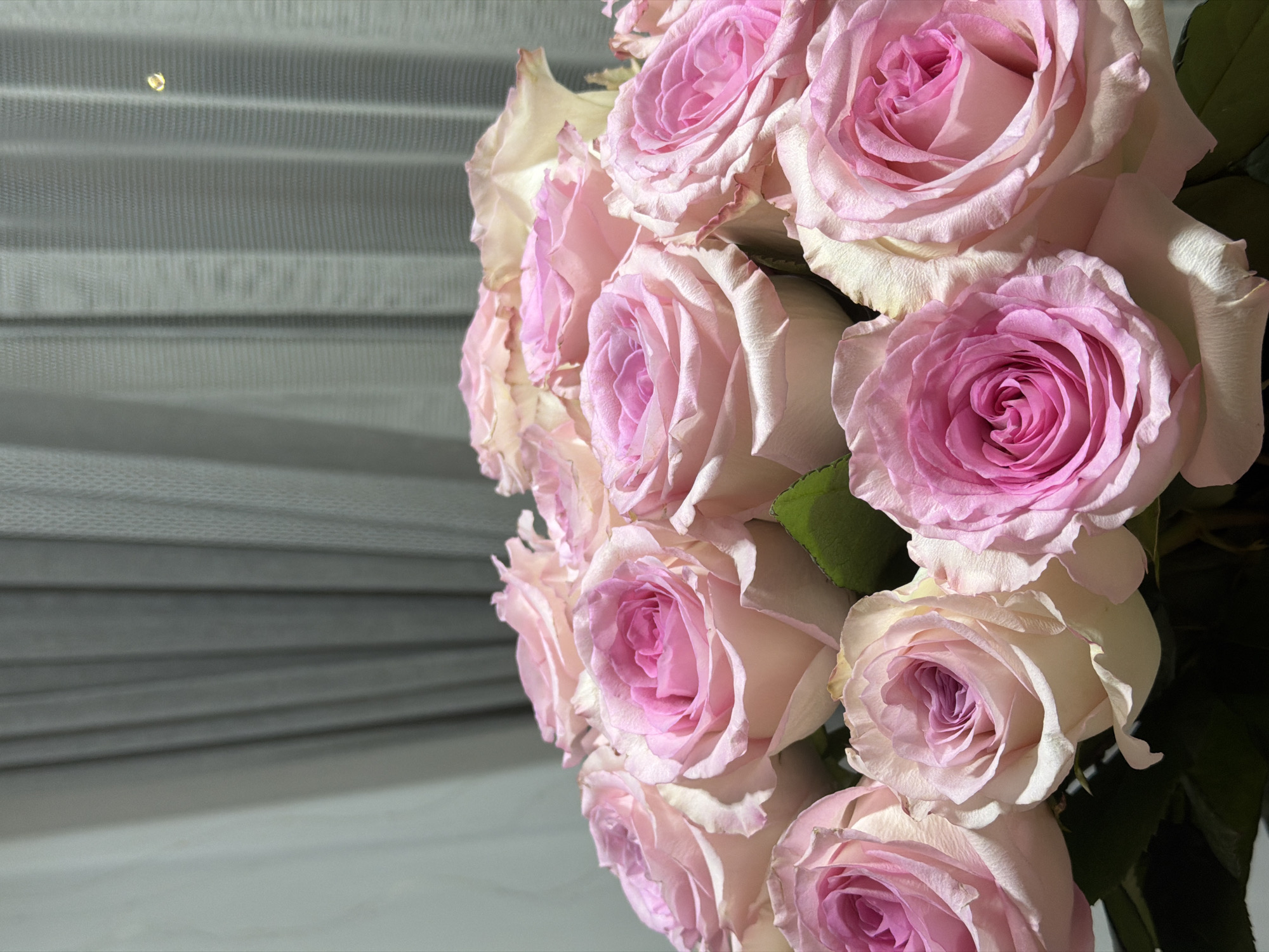 A close-up, eye-level shot focuses on a bouquet of pink roses arranged in the foreground against a backdrop of softly draped grey curtains. The roses display a gradient of pink, from pale blush on the outer petals to a vibrant fuchsia at their centers, with some showing hints of white. The texture of the petals is delicate and layered. The lighting creates soft shadows, emphasizing the depth and form of the flowers. The background curtains are slightly out of focus, with vertical pleats visible. A small, bright reflection, possibly from a light source, is noticeable on the right side of the curtains. The image is still and does not depict any human activity or movement. The scene appears to be an indoor setting, possibly a home or event space. There is no information to indicate the location is in the city of Khmelnytskyi, Ukraine.