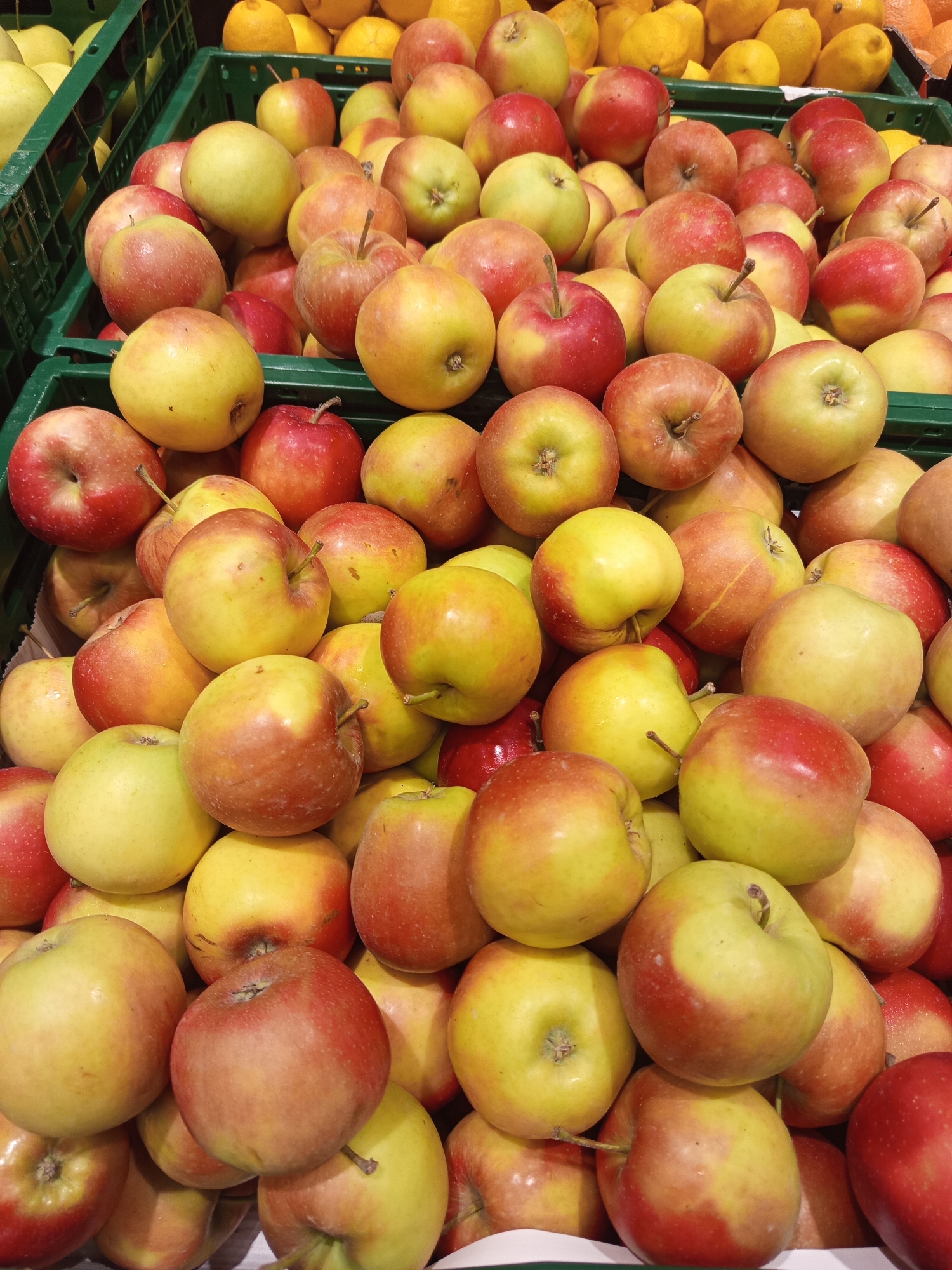 The image shows a close-up, eye-level view of a large quantity of apples stacked in green plastic crates, likely in a grocery store or market. The apples are a mix of red and yellow, with some appearing to be Gala or Fuji varieties. The lighting is bright and appears to be artificial. The background is blurred but suggests more produce, possibly lemons, in crates behind the apples. There are no people visible in the image. This scene is consistent with a produce section in a supermarket like Albert or Tesco in the city of Brno, Czechia, given the common use of these types of crates and the general appearance of supermarket produce displays.
