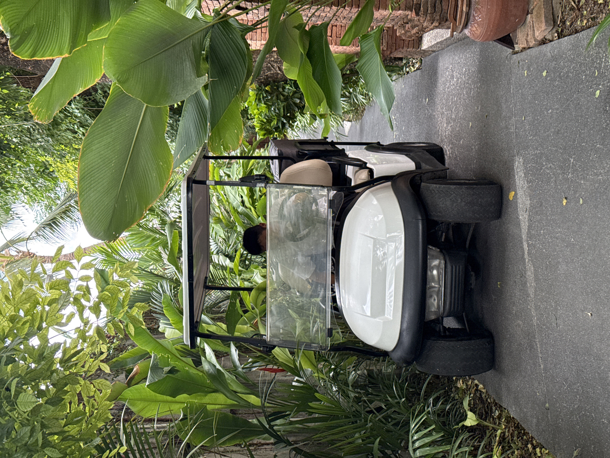 A white golf cart is parked on a paved walkway surrounded by lush tropical foliage. A person is seated in the driver's seat of the golf cart, obscured by the windshield. To the right of the walkway, a textured brick wall is visible, with a large terracotta pot at its base. The environment suggests a resort or a well-maintained garden area in Ko Samui District, Thailand.