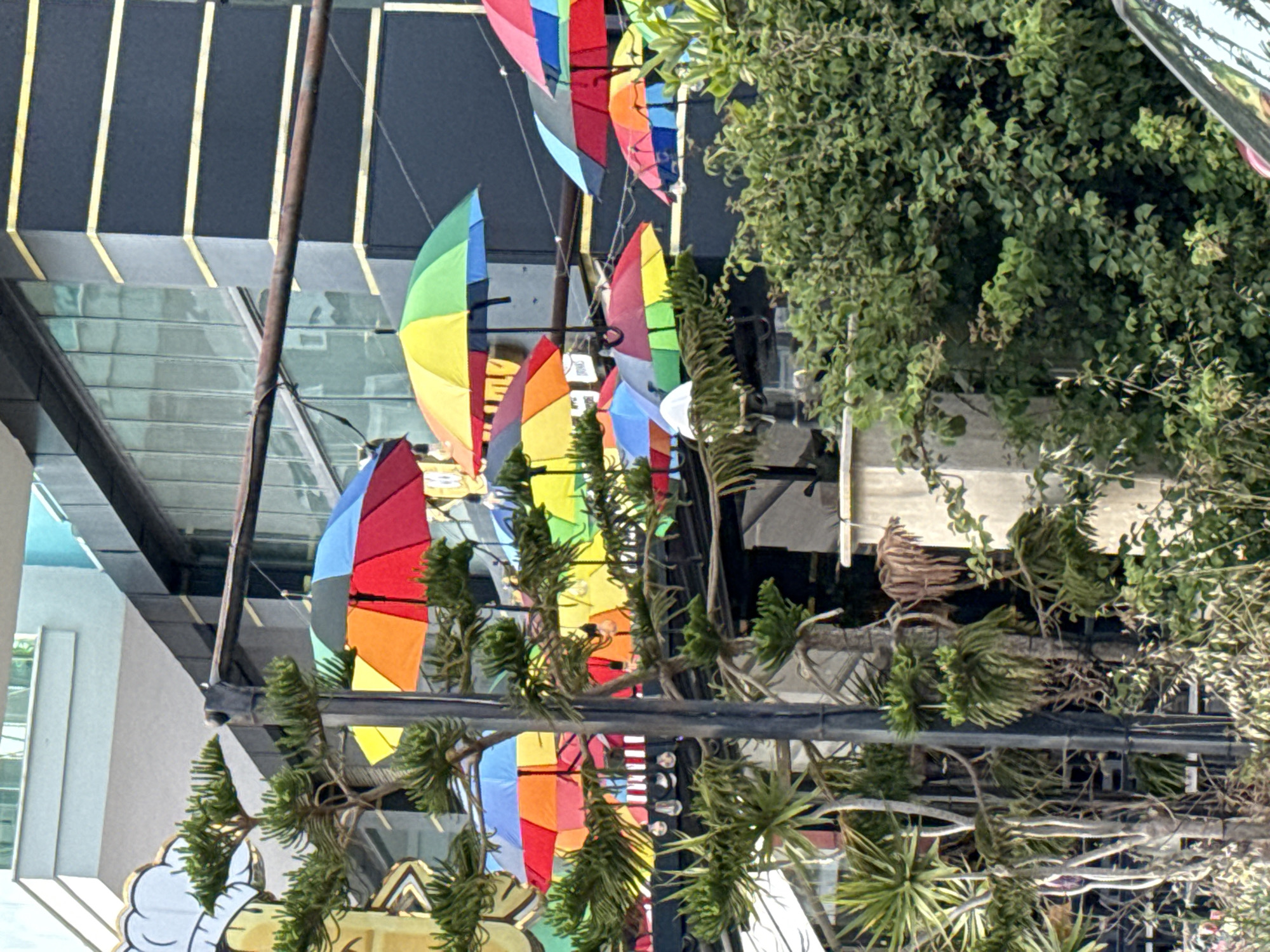 The image shows a collection of colorful, rainbow-colored umbrella decorations suspended overhead, possibly along a street or pedestrian area in a city identified as Unknown, Unknown. The umbrellas vary in shape and size, and are hung from wires or poles. Amidst the umbrellas, there are green plants, including what appears to be some type of shrubbery or tree branches. The background includes parts of buildings, including some with reflective surfaces, which suggest a commercial or urban environment. The scene is photographed from a lower angle, looking up towards the umbrellas and sky.