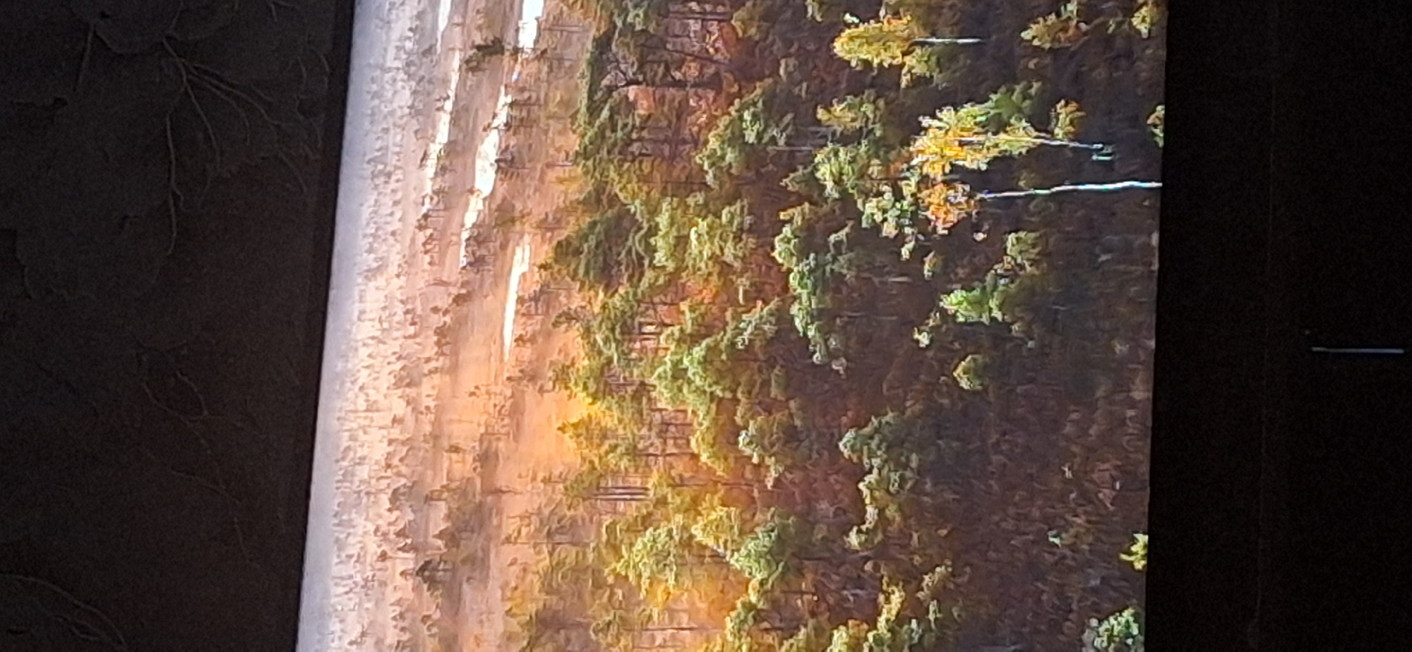 The image depicts a panoramic view of a misty forest landscape, possibly a bog or marshland. Numerous trees, with distinct green foliage and some appearing bare or sparsely leaved, are scattered across the scene. The ground is covered in dark vegetation. In the background, a hazy, sunlit sky is visible, with lighter areas suggesting water or open spaces within the dense forest. The overall atmosphere is serene and naturalistic, evoking a sense of wilderness.
This image does not contain any elements that would allow for identification of a specific location in Bila Tserkva, Ukraine, or any other city. There are no discernible buildings, landmarks, or human activity that would link it to a particular urban setting. The scene is entirely focused on a natural environment.