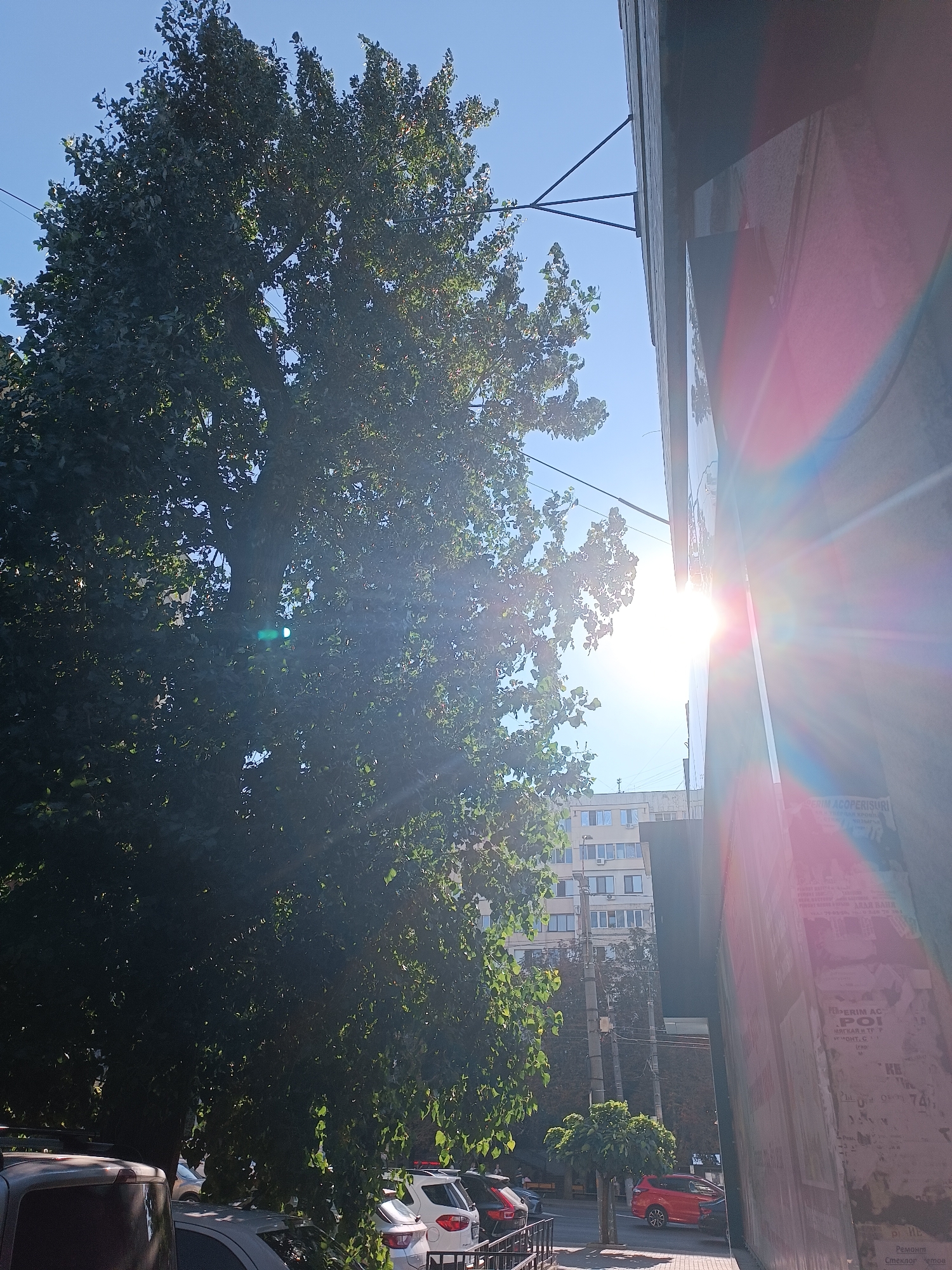 A low-angle shot captures a large, leafy tree in the foreground, its branches reaching towards a clear blue sky. The sun shines intensely through the tree, creating lens flare and dappled light. To the right, a building facade, possibly a shop or apartment complex, is visible, adorned with posters and graffiti. The sunlight causes a strong pink and blue lens flare that streaks across the building's surface. In the background, more residential buildings and a street with parked cars are visible, suggesting an urban setting in Chișinău, Moldova. The overall scene is bathed in bright daylight, with a slight haze from the sun's glare.