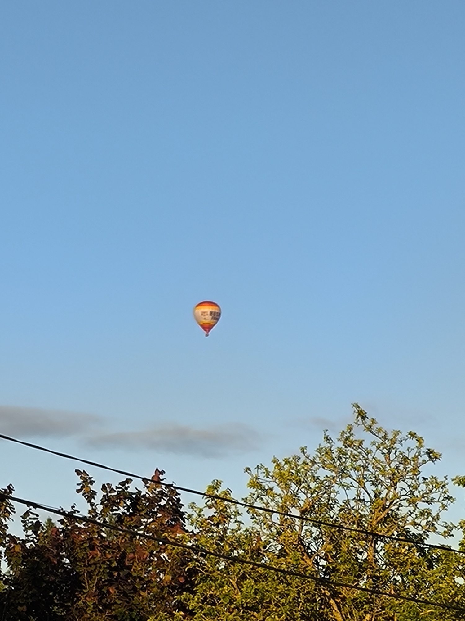 A single hot air balloon with orange and yellow accents is visible against a clear blue sky. The balloon has some writing on it that is not legible. In the foreground, the tops of trees with green and brown leaves are visible, along with power lines stretching horizontally across the frame. The scene appears to be outdoors, likely in a semi-rural or suburban setting, given the presence of trees and power lines. The lighting suggests it is daytime, possibly late afternoon or early morning due to the warm colors in the balloon and foliage. The location is identified as Novonikolskoye, Russia.
