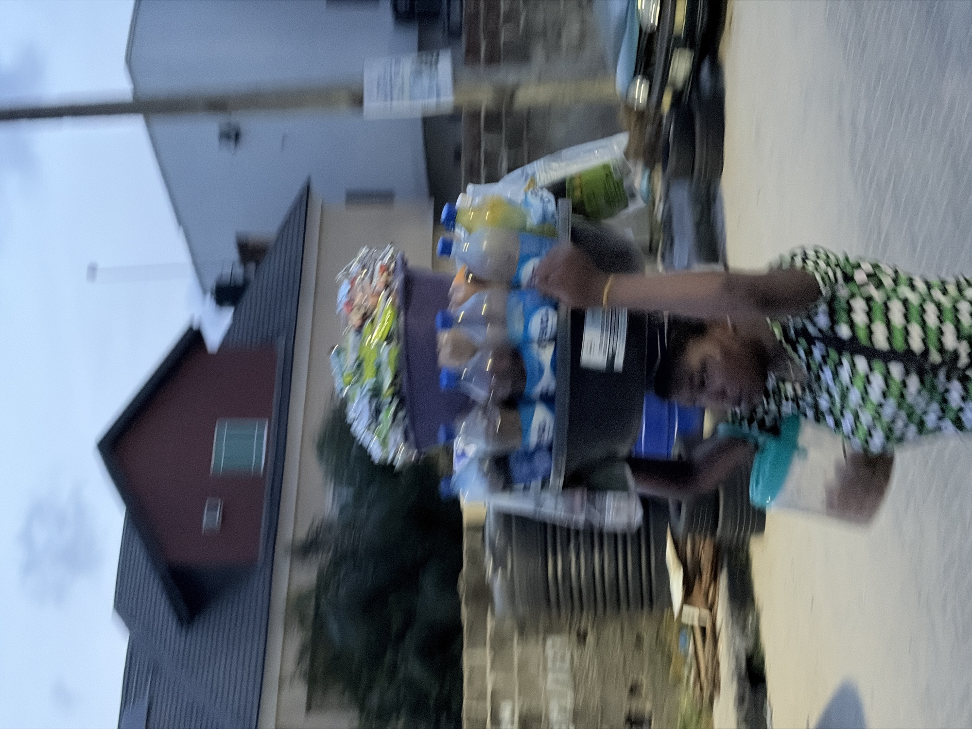 In Igboefon, Nigeria, a woman wearing a green and white patterned dress is pushing a cart loaded with water bottles, snacks, and other goods along a paved street. A building with a dark red facade and dark grey roof is visible in the background, along with other structures and trees.