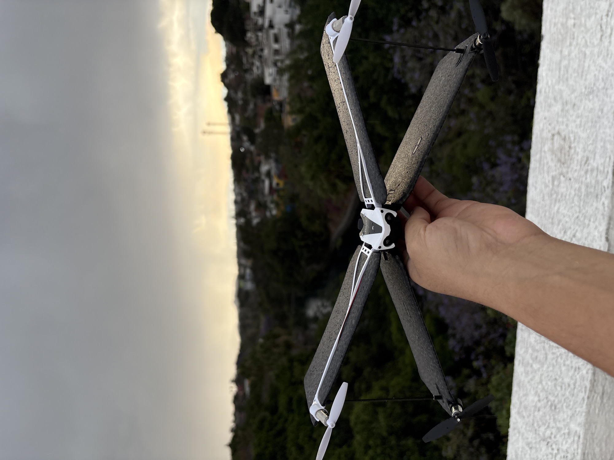 The image shows a Parrot Disco drone held in a person's hand against a backdrop of a city during the evening, likely Cuernavaca, Mexico, based on the architecture and vegetation. The drone has an X-shaped wing configuration with white and black propellers attached to the wingtips. The drone's central body is white and appears to be constructed from plastic. The surrounding environment includes buildings and dense foliage, possibly trees and bushes, indicating a residential or suburban area with green spaces. The sky is overcast, with colors suggesting either dusk or dawn. The person's arm and hand are visible, holding the drone from below.