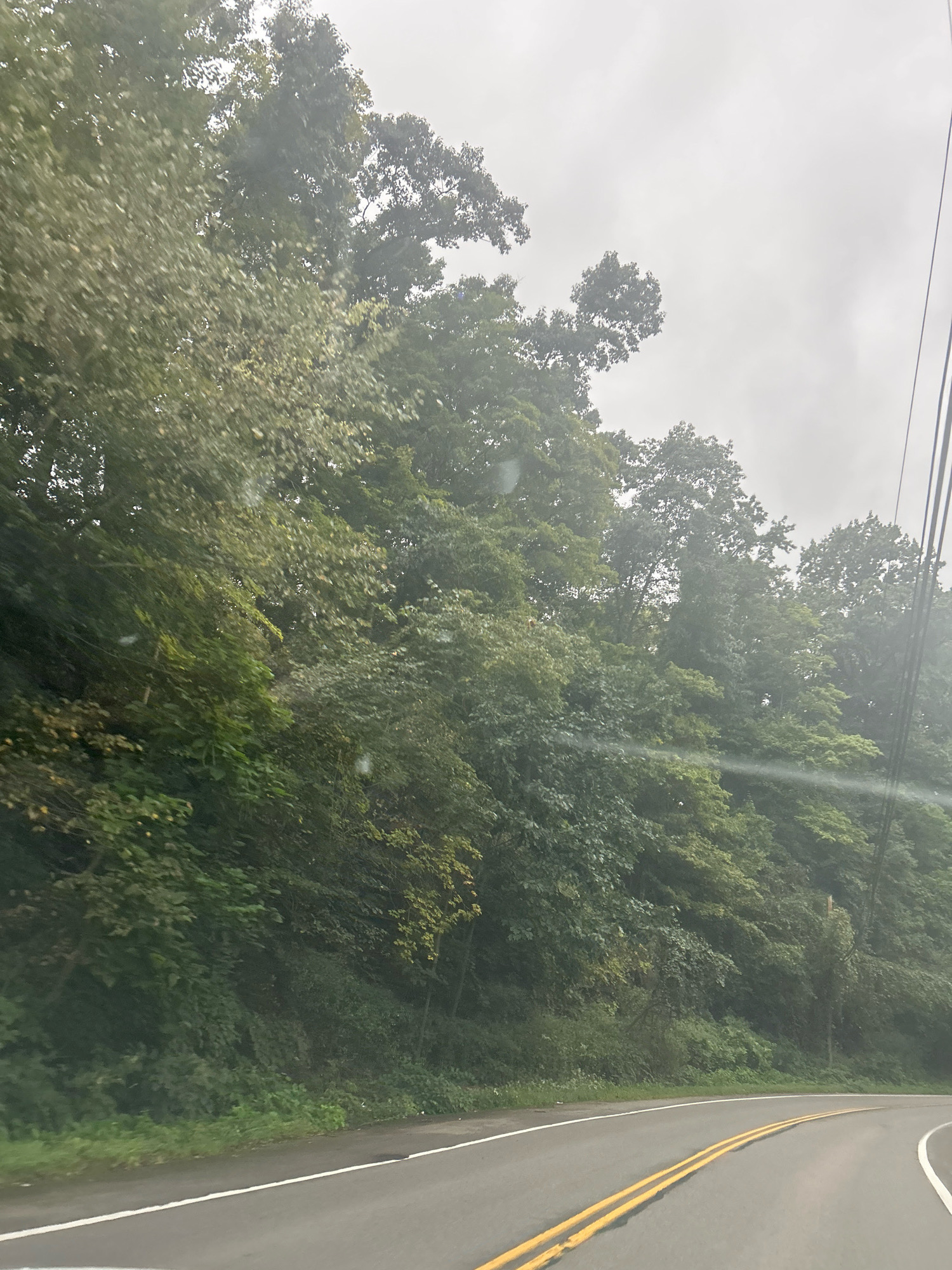 A curved asphalt road with double yellow lines runs through a wooded area. The trees lining the road are dense and covered in green foliage. The sky is overcast and appears to be gray. Overhead, power lines are visible against the sky. The image captures a scene from a vehicle, likely while driving on the road.