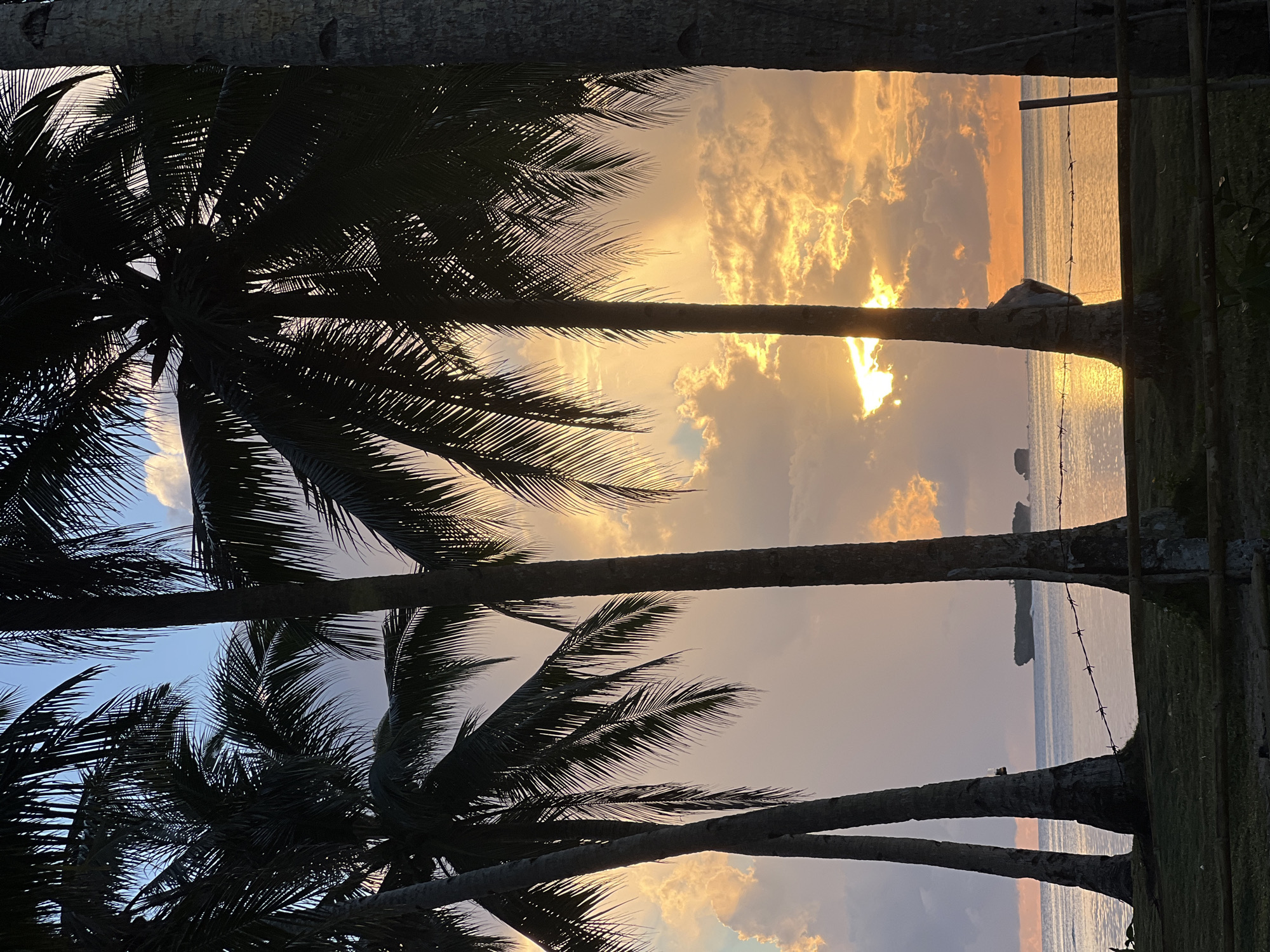 The image depicts a sunset scene viewed from the shore in General Luna, Philippines. Silhouetted against the vibrant, orange and yellow sky are several palm trees, their fronds creating a tropical atmosphere. The ocean stretches out to the horizon, reflecting the colors of the sunset, and a few small islands or rock formations are visible in the distance. A barbed wire fence runs across the foreground, suggesting the edge of a property or boundary. The overall impression is one of a serene and picturesque tropical evening.