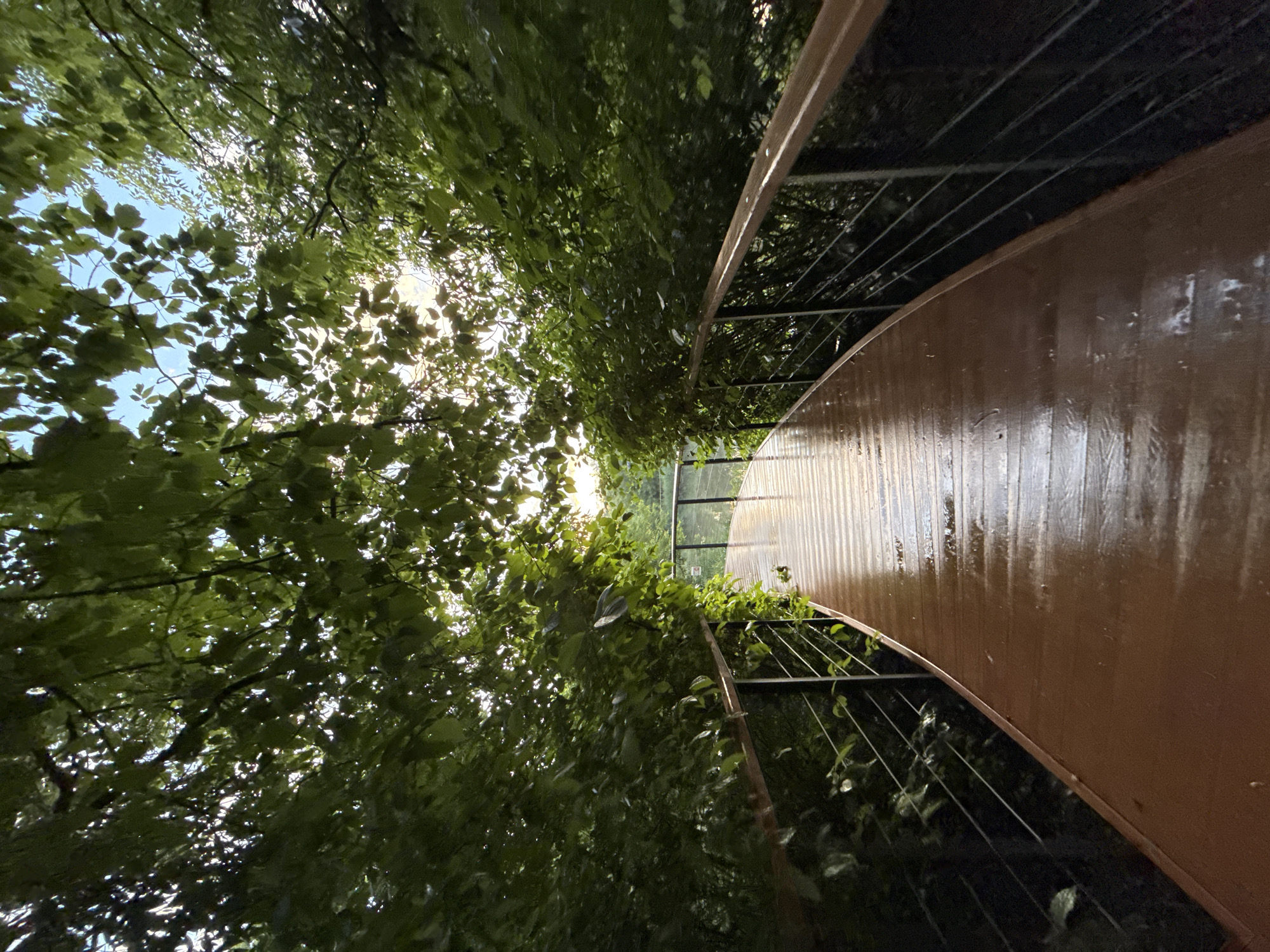 A wooden walkway curves through a dense canopy of green trees, leading towards a body of water. The walkway, which appears wet, has metal railings with wooden tops on either side. Sunlight filters through the leaves, creating dappled light. The scene is peaceful and natural, suggesting a park or natural reserve setting. No people are visible in the image. The location is not specified in the image itself.