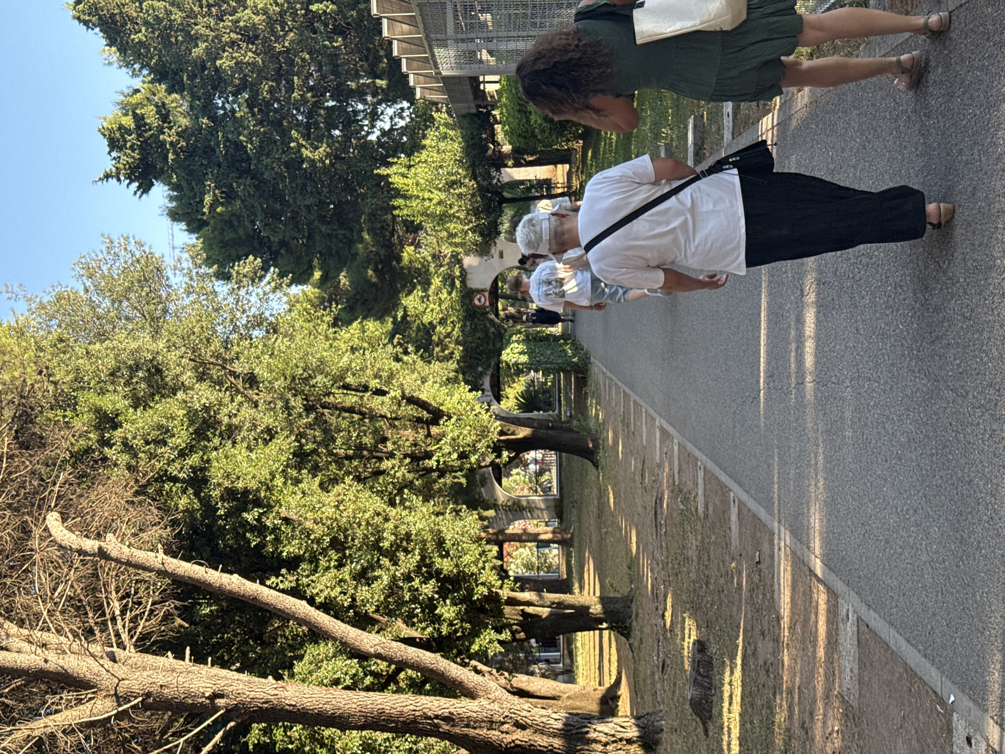 The image depicts a sunlit pedestrian walkway in a park-like setting, potentially within the city of Budva, Montenegro. The walkway is paved with asphalt and bordered by a grassy area with scattered trees. In the foreground, two women are walking away from the camera. The woman on the left is wearing a white t-shirt and a long black skirt with sandals. She has a black bag slung across her body. The woman on the right is wearing a green dress and sandals, carrying a white tote bag. Further down the walkway, a man in a white t-shirt and shorts is visible, also walking away from the camera. Behind him, other individuals can be seen in the distance. The walkway is lined with mature trees, casting dappled shadows on the path. In the background, there are architectural elements, including arched structures and a building with a slatted roof, suggesting a developed area within the park or its periphery. The sky is clear and blue. The overall impression is one of a pleasant outdoor scene, likely in the afternoon given the lighting.