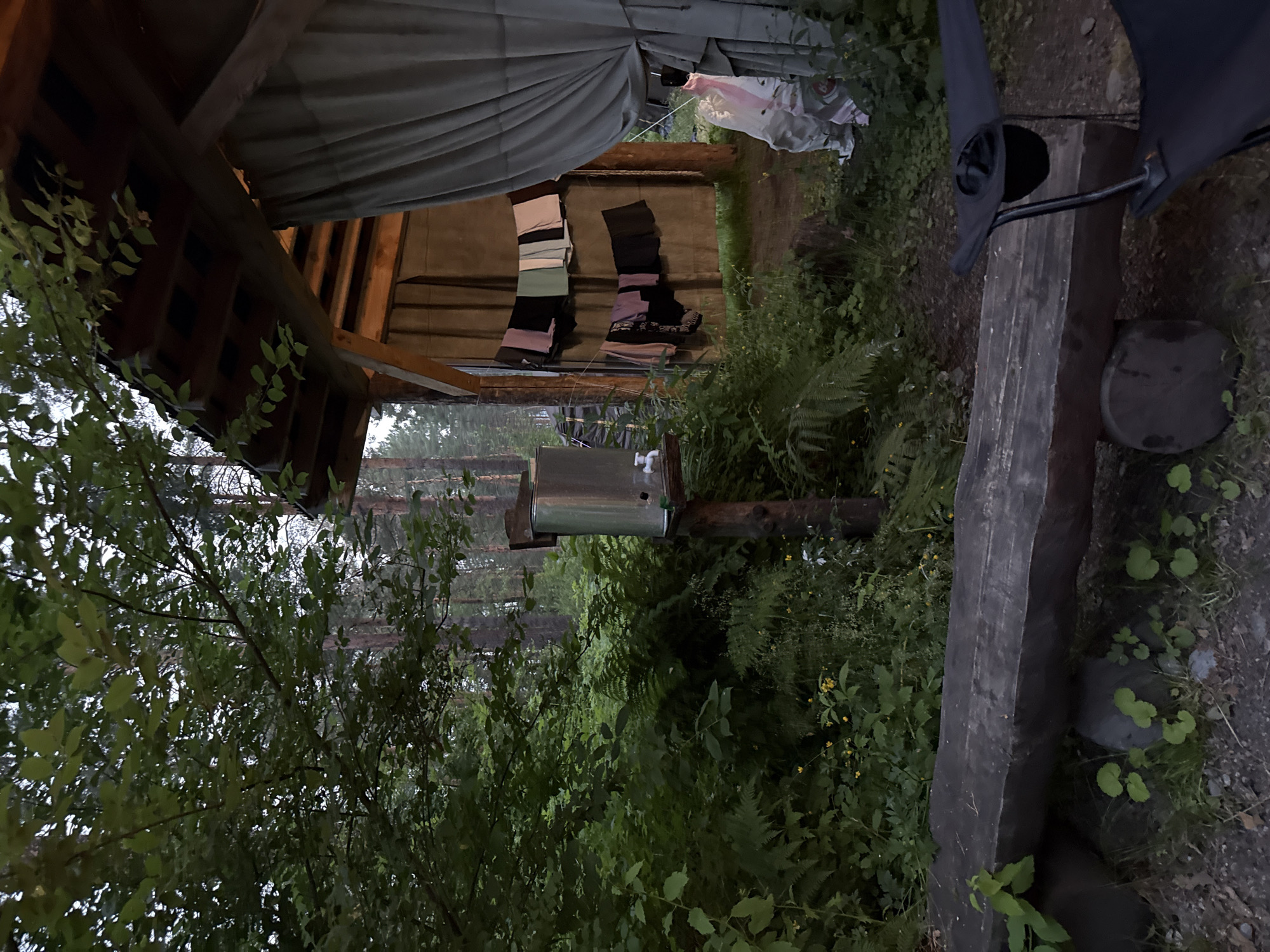 The image depicts a rustic outdoor scene in Cheposh, Russia, likely a campsite or a rural dwelling. In the foreground, a rough-hewn wooden bench sits on the ground, with a portable camping chair positioned next to it. Behind the bench, lush green foliage and ferns dominate the landscape, with some small yellow flowers scattered amongst them.
To the right, a simple wooden structure is visible, covered with a light-colored tarp or curtain. Clothes are hanging on a line strung across the opening of this structure, suggesting it might be a rudimentary shelter or changing area. A metal container with a faucet is mounted on a wooden post to the left of the structure, possibly a water source. The overall environment is natural and somewhat wild, with tall trees, including pines, visible in the background, indicating a forested area. The lighting suggests it is either early morning or late evening, with a soft, diffused light. There are no people visible in the image.