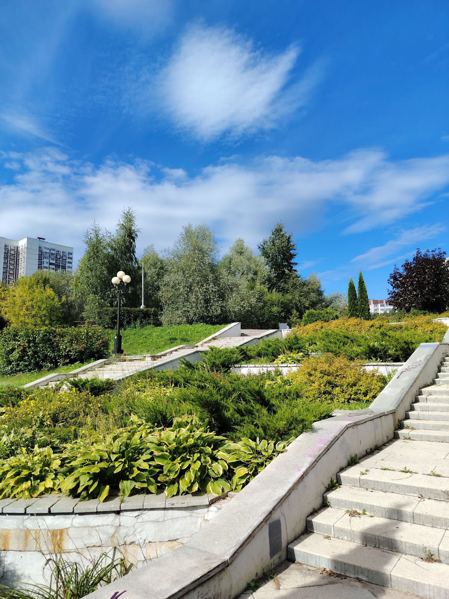 The image depicts a sunny day in Zelenograd, Russia, likely in a park or public garden area. In the foreground, a wide, tiered stone staircase ascends a green embankment planted with various shrubs and hostas. The stairs appear to be made of concrete slabs and show signs of wear, with some small weeds growing in the cracks. The embankment is lush with greenery, featuring dense bushes and larger hosta plants with variegated leaves.
Further up the embankment, a tall lamppost with three spherical lights stands prominently. Behind the lamppost and the greenery, a large, modern apartment building with many windows is visible, suggesting an urban setting. The background is filled with mature trees, some with dense foliage and others with lighter, feathery leaves, creating a natural backdrop to the urban structure. Two slender, conical evergreen trees stand out among the deciduous trees. The sky is a vibrant blue, dotted with fluffy white clouds. The overall scene conveys a sense of a well-maintained public space on a clear day.
