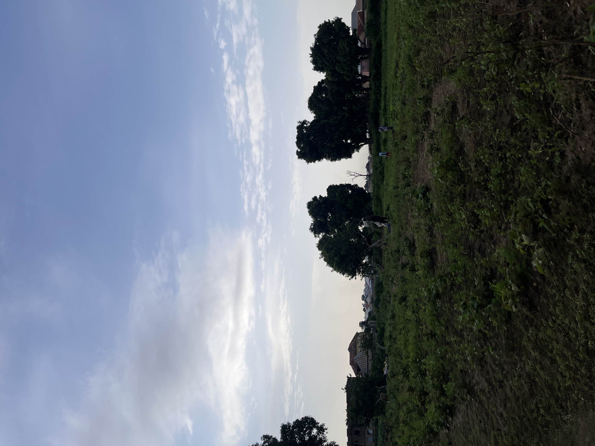 The image depicts a rural landscape in Rafin Par, Nigeria, characterized by a wide expanse of vegetation and a few scattered buildings. In the foreground, a field of low-lying green plants, possibly crops, stretches across the frame, with areas of exposed soil. In the mid-ground, a cluster of mature trees with dense foliage stands prominently. Further back, several residential buildings with various roof types are visible, suggesting a small settlement. The sky is partly cloudy, with patches of blue sky interspersed with white and gray clouds. A few individuals are present in the field, appearing to be engaged in agricultural activities, though their actions are indistinct due to the distance. The overall atmosphere suggests a tranquil, natural environment with a touch of human habitation.