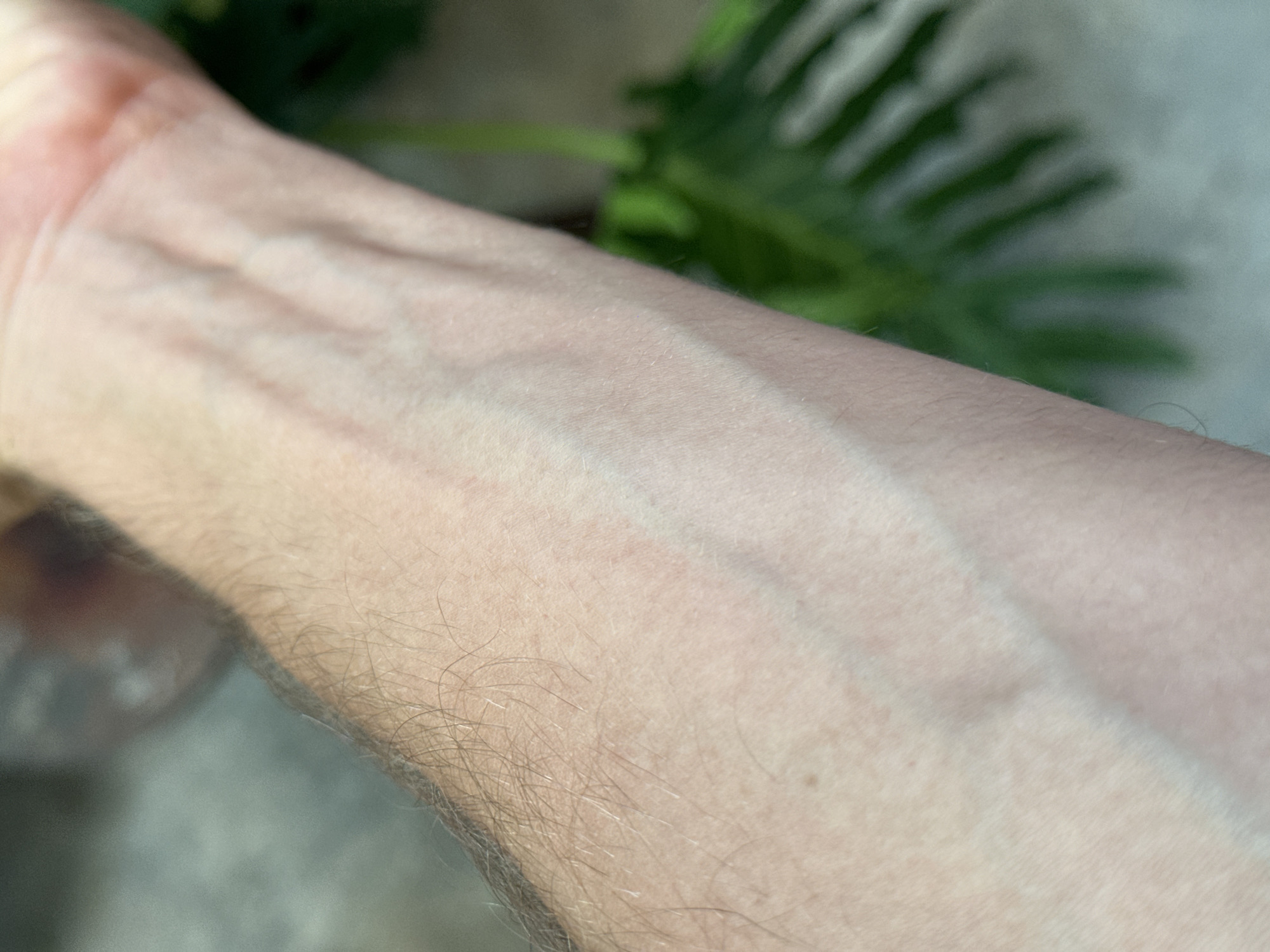 The image shows a close-up of a person's forearm and wrist, with visible veins. The skin is lightly tanned and appears to have some fine hairs. The lighting creates a shadow that diagonally crosses the forearm. In the background, out of focus, there is a hint of greenery, possibly a plant, and a blurred surface that could be a table or floor. The scene is likely indoors, given the quality of light. There is no discernible location in Đà Nẵng, Vietnam, and no specific actions or interactions are depicted.