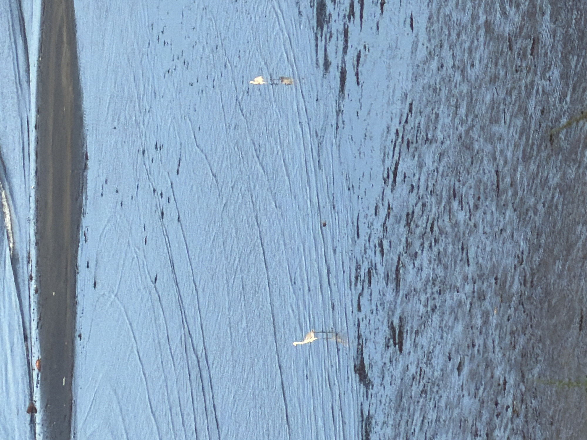 The image shows two birds wading in shallow, calm water. The environment appears to be a mudflat or tidal area. The water is a light blue color with subtle ripple marks and darker patches of exposed mud or sediment. In the distance, there is a darker band of land or vegetation. The first bird, on the left side of the image, is light-colored with a long neck and beak, and is facing towards the right. The second bird, further to the right and slightly behind the first, is also light-colored and appears to be in a similar wading posture. There are no discernable human subjects or man-made structures in the image. The overall scene suggests a natural coastal or estuarine environment. There is no information within the image to determine the specific location in Yuzhno-Kurilsk, Russia.