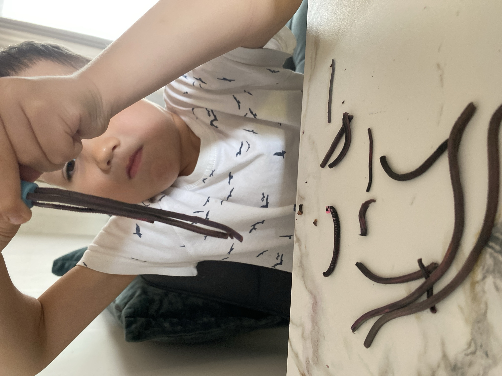 A child is playing with earthworms on a white surface. The child is wearing a white t-shirt with a bird pattern. The earthworms are brown and varying in size and shape. The location is unknown, and there's no evidence connecting this to Chaikovsky, Russia.