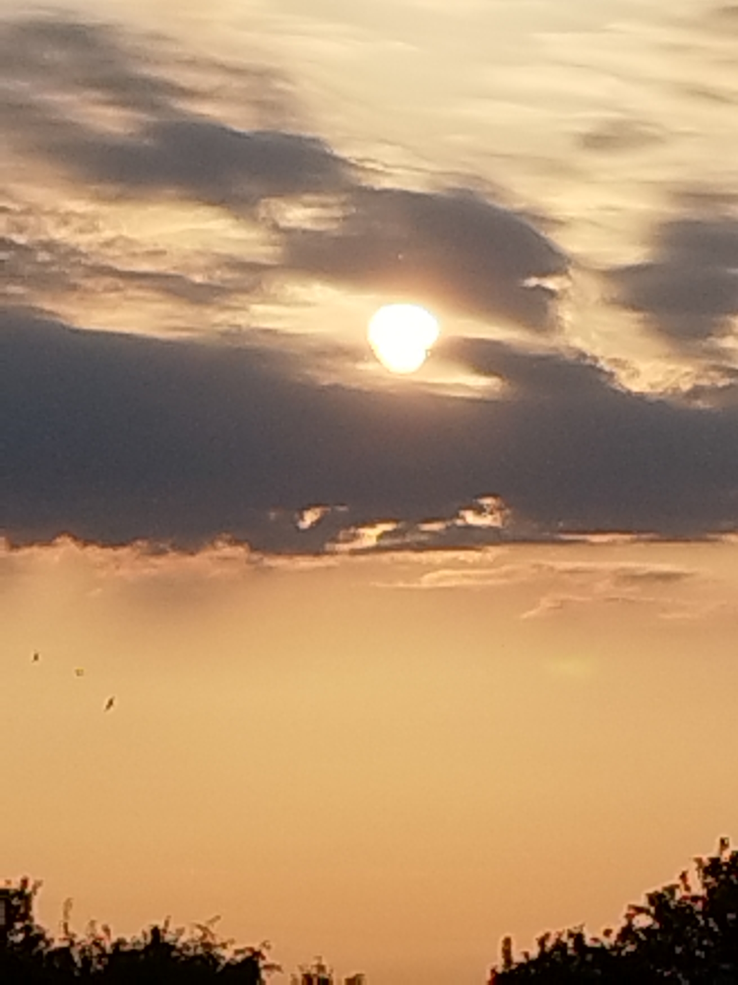 The image depicts a sunset scene with the sun partially obscured by clouds. The sun appears as a bright, white orb with a slightly heart-like shape. Dark gray clouds dominate the upper half of the image, with lighter, wispy clouds in the background. The lower half of the image transitions into a warm, orange sky. Three small dark objects, potentially birds or kites, are visible in the sky on the left side. In the foreground, the silhouettes of trees and buildings are visible against the glowing sky. The image appears to be taken in or around Vidra, Romania, based on the provided context.