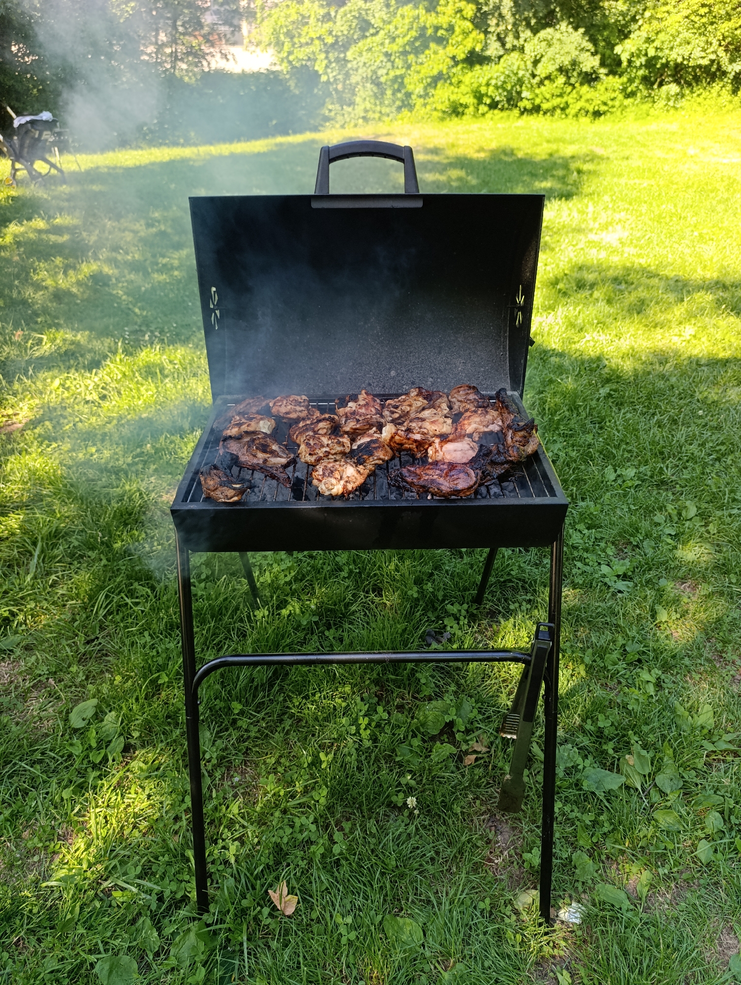 A black charcoal grill is actively cooking various cuts of meat, likely chicken and pork, on a metal grate. Dense white smoke rises from the grill, partially obscuring the upper left background. The grill is positioned on a vibrant green lawn, characteristic of a backyard or park setting in Pfullingen, Germany. Strong sunlight illuminates the scene from the right, casting distinct shadows on the grass. In the background, lush green trees and foliage are visible. A blurred, indistinct object, possibly outdoor furniture, is visible in the far left background through the smoke. No individuals are present in the frame.