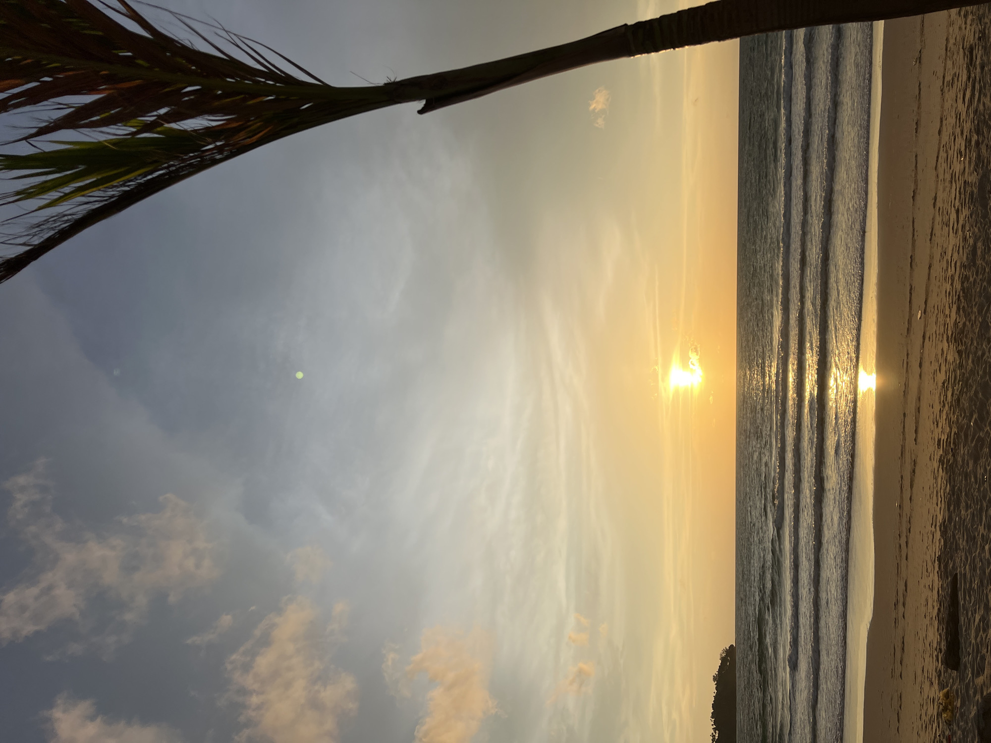 A serene sunset over the Andaman Sea is captured from a sandy beach in Choeng Thale, Thailand. The sun, a bright orb of yellow, sits low on the horizon, casting a warm golden glow across the water and the sky. Wispy clouds, tinged with orange and pink hues, are scattered across the pale blue expanse. Gentle waves roll onto the shore, creating a reflective sheen on the wet sand. In the foreground, the coarse grains of the beach are visible, with a piece of driftwood and some scattered debris. To the left, a distant, tree-covered island juts out into the sea. A tall, slender palm tree trunk with a few sparse fronds dominates the right side of the frame, silhouetted against the colorful sky. The overall impression is one of tranquility and natural beauty.