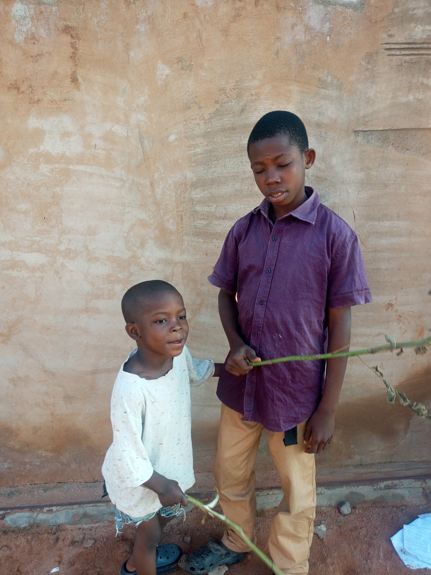 In Tempure, Nigeria, two young boys stand in front of a rough, textured, light brown wall, possibly of a building. The older boy, on the right, is wearing a short-sleeved, collared purple shirt with dark buttons and khaki pants. He is holding a thin green branch with both hands, its tip extending upwards and to the right. His eyes are closed and his mouth is slightly open. The younger boy, on the left, wears a short-sleeved white t-shirt with a pattern of small colorful dots and ripped blue denim shorts. He is also holding the branch with his left hand, his arm extended slightly. He is looking to his right with his mouth open, as if speaking. Both boys have dark skin and short, dark hair. Their feet are visible, with the younger boy wearing black sandals and the older boy wearing a dark shoe on his left foot. The ground is a mix of reddish-brown dirt and some rocks. To the right of the older boy, a white piece of fabric is visible on the ground. The overall scene appears to be outdoors.
