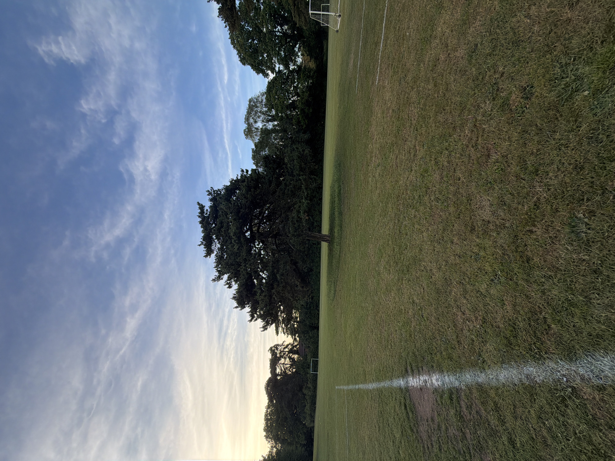 The image presents an unpopulated, expansive grassy field, likely a recreation ground or park, under a partially cloudy sky experiencing a low sun angle consistent with either sunrise or sunset. The sky, occupying the upper section, transitions from a lighter, warmer tone on the far left to a clearer blue on the right, with scattered, thin, white cloud formations.
The field itself is covered in green grass, appearing slightly unkempt rather than a finely manicured pitch. A prominent white painted line, indicative of a sports field boundary, runs vertically along the left side of the foreground, extending from the bottom edge upwards. The ground immediately adjacent to this line on the left shows patches of worn earth. A fainter horizontal white line is discernible in the mid-ground towards the right side of the frame.
A large, dark green conifer tree, characterized by a thick trunk and dense foliage, stands prominently near the center of the field, slightly offset to the left. Its shadow is cast on the grass to its right. In the far background, a dense line of various deciduous and coniferous trees defines the perimeter of the field. A white metal goalpost frame is partially visible in the far background on the left, nestled within this tree line. Another, larger white metal goalpost with a net is partially visible on the far right side of the image. Between the left goalpost and the central tree, a dark, low-profile structure with a lighter upper section, possibly a building, is faintly discernible amidst the background trees. The environment is Mote Park, Maidstone, United Kingdom, evidenced by the distinctive landscape features including the large central conifer tree within an open sports field. No individuals or active events are present in the scene.