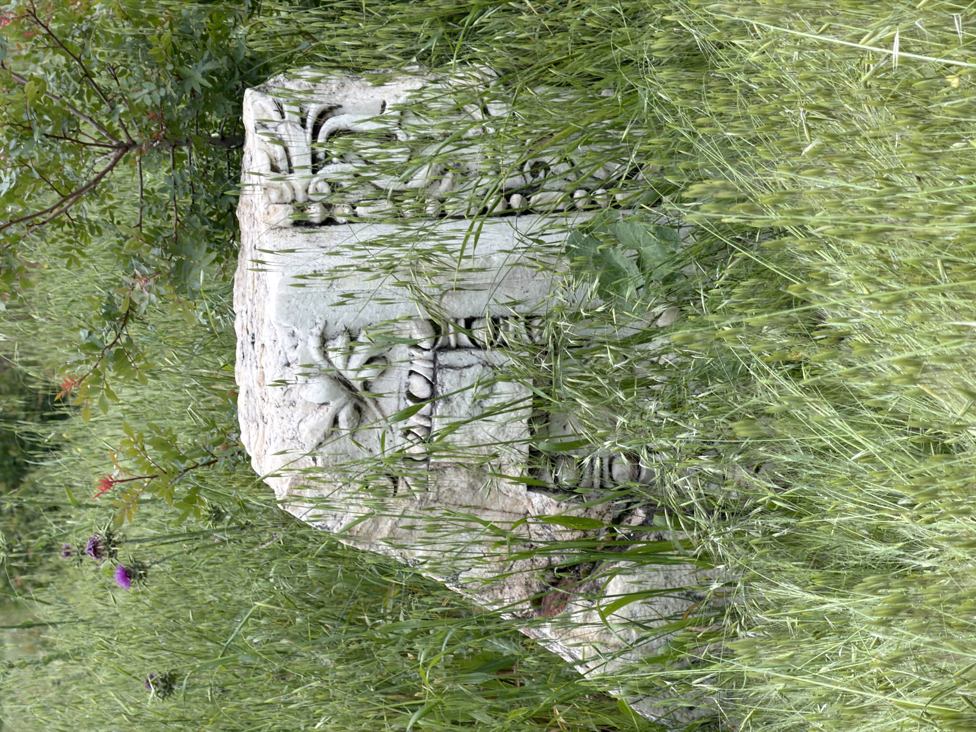 A partially obscured, weathered, white stone architectural fragment with carved floral and geometric designs lies on its side in a field of tall, green grass and weeds. A few small trees with green leaves and some purple thistle plants are scattered around the stone. This scene is likely located in the ancient city of Hierapolis, near Pamukkale, Turkey, given the presence of classical architectural fragments in that area. There are no people in the image.