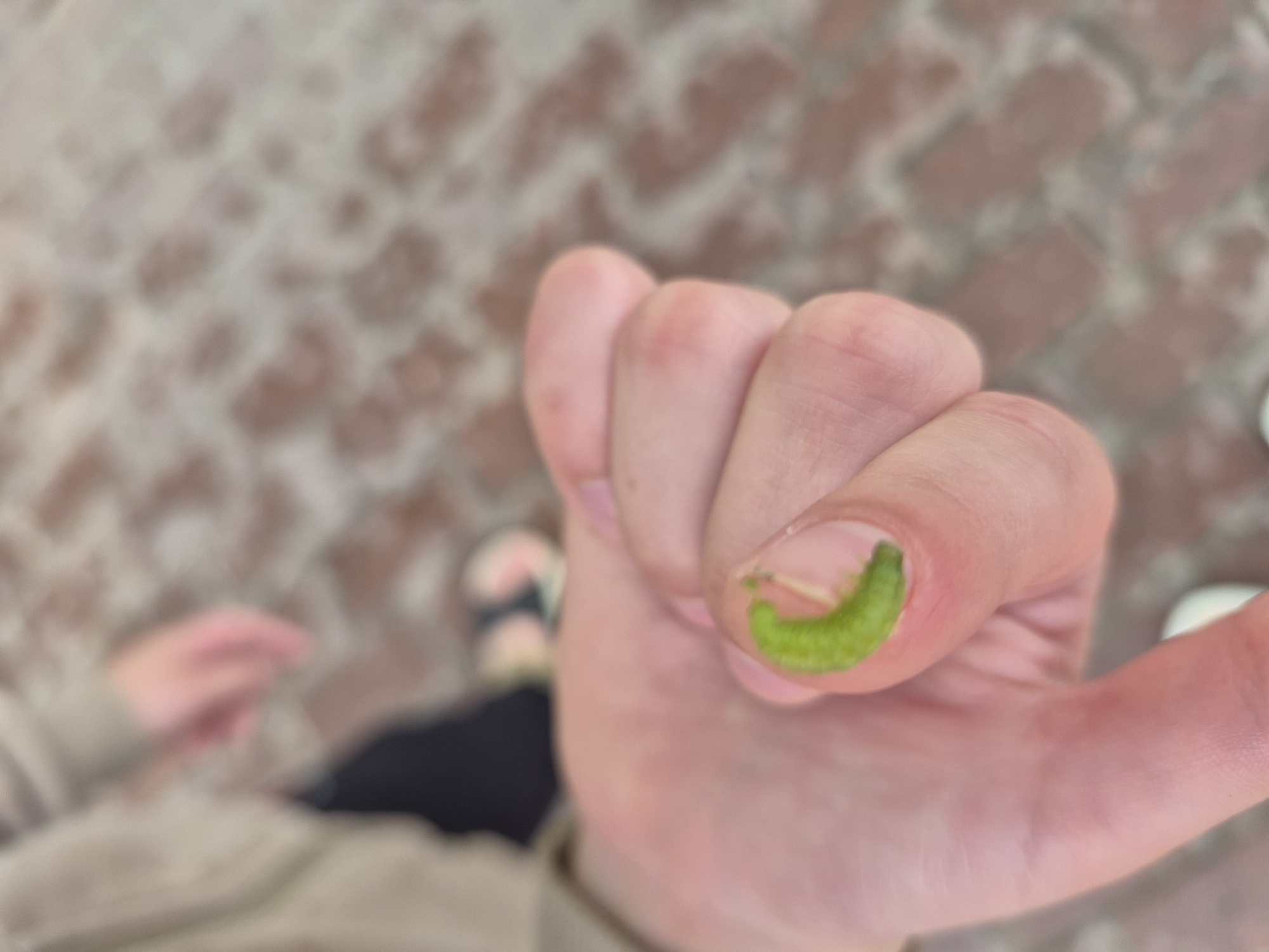 A close-up, high-angle shot focuses on a person's hand, specifically the thumb and index finger, with a small green caterpillar perched on the fingernail of the index finger. The caterpillar is curled and appears to be resting. The hand is light-skinned and the fingernail is short. The background is blurred but shows a reddish-brown and grey patterned surface, likely pavement or bricks, with some lighter areas. In the lower left of the frame, a blurred figure of another person is visible wearing dark pants and a light-colored jacket. This person appears to be wearing sandals. The overall lighting suggests daytime. The scene is outdoors, possibly in a public area like a park or sidewalk given the paving. No text is visible in the image. The presence of the caterpillar on the finger might indicate a moment of observation or interaction with nature.