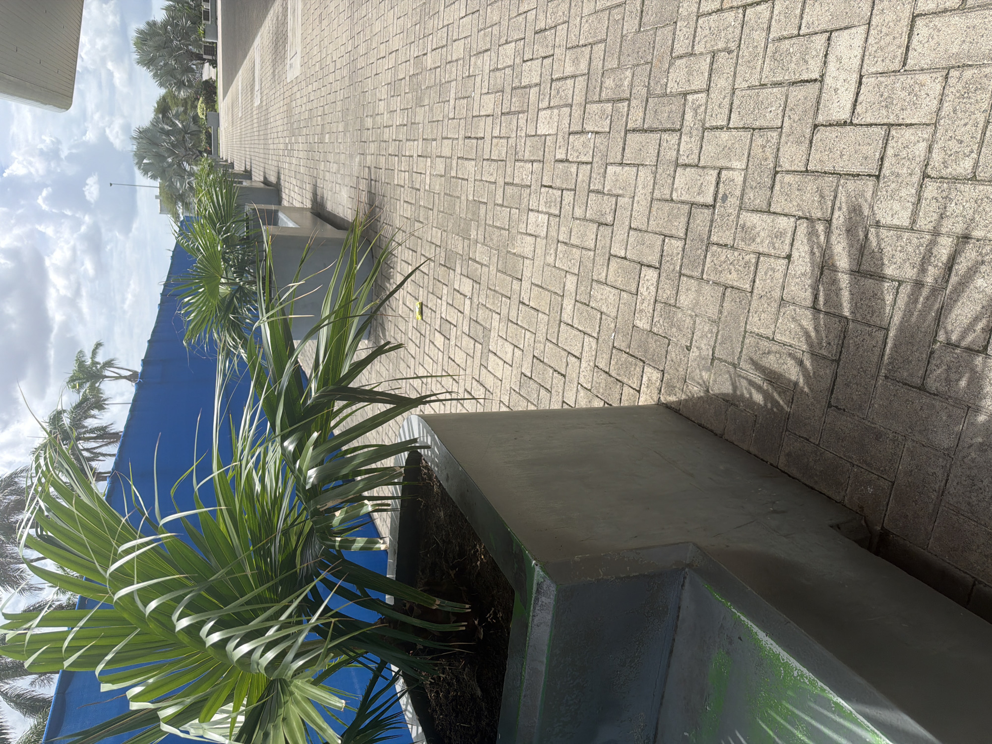 The image shows a street view in an unidentified city. A gray brick walkway stretches into the distance, with shadows of trees or plants cast upon it. Along the walkway, a series of rectangular concrete planters contain palm trees. A blue wall is visible behind the planters, likely part of a building. The sky above is partially cloudy. The scene appears to be outdoors and during the daytime.