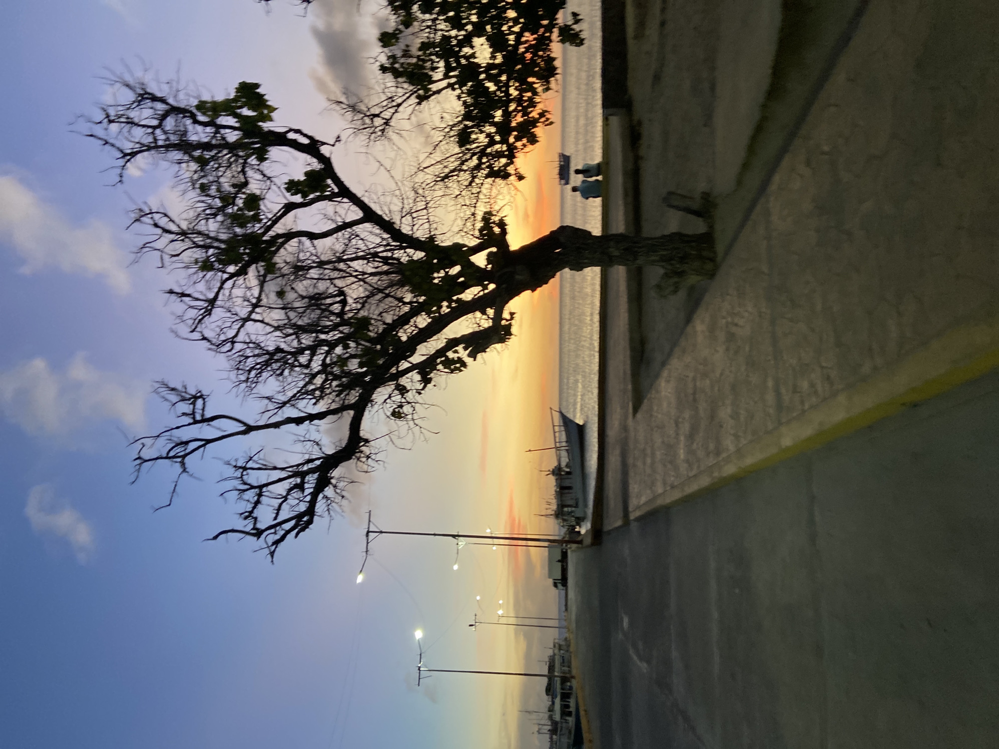 The image captures a serene sunset scene over a coastal area in Juan Griego, Venezuela. A large, gnarled tree with mostly bare, intricate branches dominates the left and center foreground, its silhouette starkly defined against the twilight sky. A few clusters of green leaves are visible on the tree's upper right branches.
Beyond the tree, a calm body of water stretches towards the horizon, reflecting the warm glow of the setting sun. The sky transitions from deep blues and purples in the upper left, through soft clouds, to vibrant oranges, yellows, and hints of pink near the horizon where the sun is setting. Two small, silhouetted figures, likely people, are seated on a bench or low wall by the water's edge, seemingly observing the sunset. Further out on the water, several boats are visible in silhouette.
To the right, a paved promenade or road runs along the waterfront, marked with a yellow stripe. Several streetlights along this path are illuminated, casting a soft glow and emphasizing the transition from day to night. The overall impression is one of peaceful contemplation at dusk. No visible text is discernable in the image.
