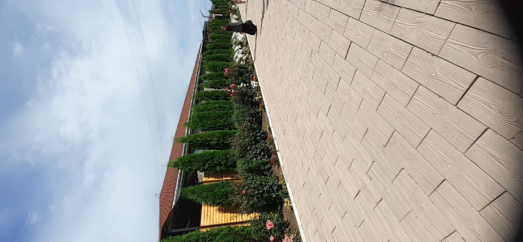 The image depicts a paved walkway with a wooden plank pattern, leading alongside a row of green coniferous trees and lush bushes with pink and white flowers. Beyond the vegetation, a building with a reddish-brown roof and wooden siding is visible. The sky is partly cloudy with a light blue hue. In the middle ground, a person dressed in dark clothing, including a headscarf, walks along the paved path. Further in the distance, another person can be faintly seen. The overall scene suggests an outdoor, well-maintained public space, possibly a park or a landscaped area in the city of Choktal, Kyrgyzstan.