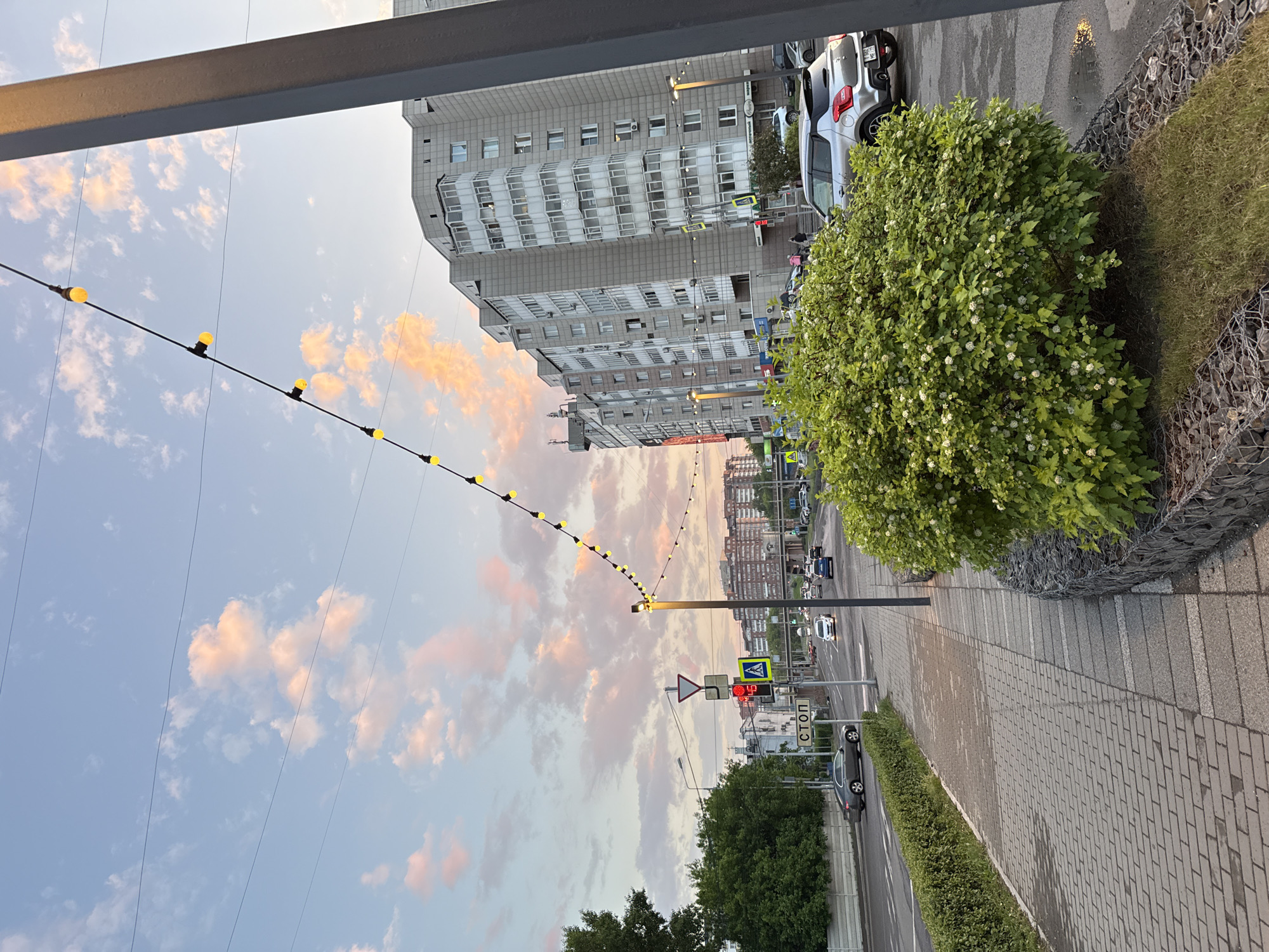 The image captures a street scene in Krasnoyarsk, Russia, during twilight. A pedestrian sidewalk, paved with grey bricks, runs along the left side of the frame. A lush, green shrub with small white flowers is prominently featured in the foreground on the right, bordered by a gabion wall filled with rocks. Overhead, a string of yellow lights hangs, with some bulbs illuminated.
Beyond the sidewalk, a two-lane road is visible, with traffic including a grey sedan, a silver hatchback, and several other vehicles. Traffic signals and street signs, including a red traffic light and a "STOP" sign in Russian, are present. In the background, multi-story apartment buildings with numerous windows line the street, their facades a muted grey. The sky above is a soft blue, transitioning to pink and orange hues, dotted with scattered clouds, indicating the setting or rising sun. The overall atmosphere is calm and urban, with hints of evening light.