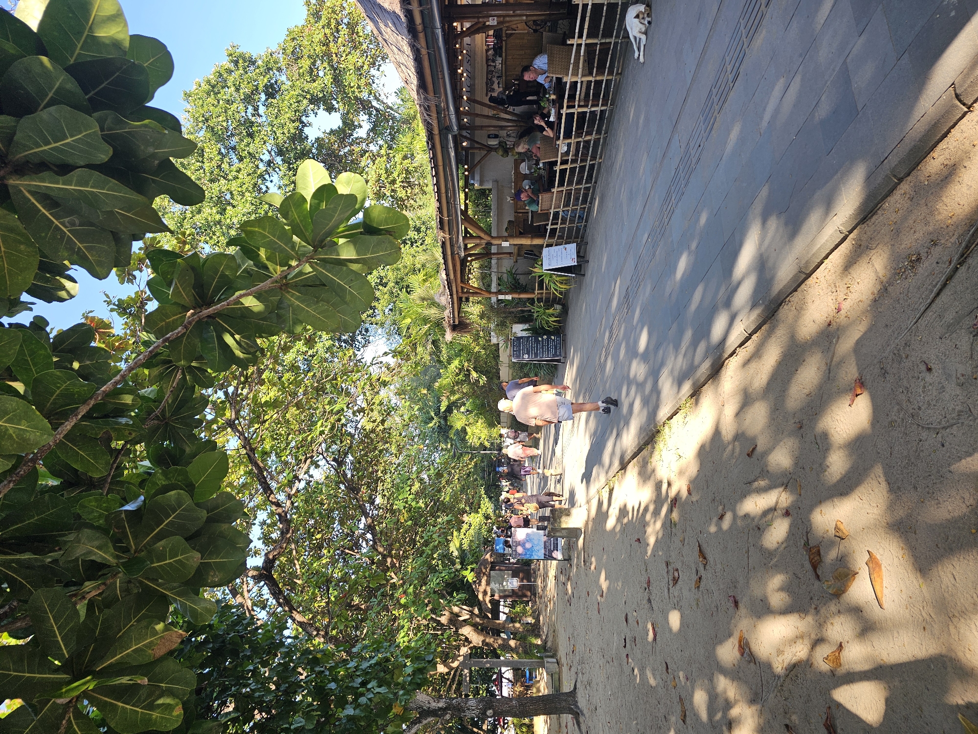The image shows a sunny outdoor scene at a tropical location. A pathway runs along the right side of the image, partially shaded by trees. People are walking along the pathway, including one man in a light-colored shirt and shorts who is the closest to the viewer. A building with a thatched roof and a partially open front is located to the right, with people sitting at tables inside. A dog is standing near the building. The left side of the image features lush green trees with large leaves. The ground is covered with sand and scattered leaves. The location is in the city of Denpasar, Indonesia.