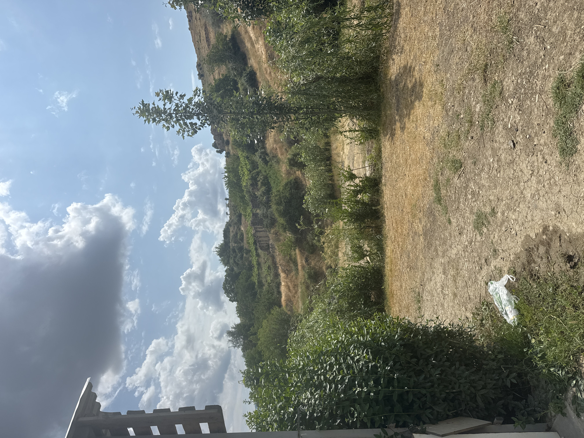 The image depicts an outdoor scene in Malishka, Armenia. In the foreground, a partially visible wooden structure is on the left, with a plastic bag and some vegetation on the ground. The middle ground features a dry, grassy area with several trees, including a tall, leafy tree and a weeping willow. In the background, a hillside is covered with dry grass and green foliage, with some visible ruins or structures on the slope. The sky is partly cloudy, with dramatic cloud formations against a blue backdrop. The overall impression is a rural or semi-rural environment with elements of both nature and human presence, possibly in a state of disrepair.