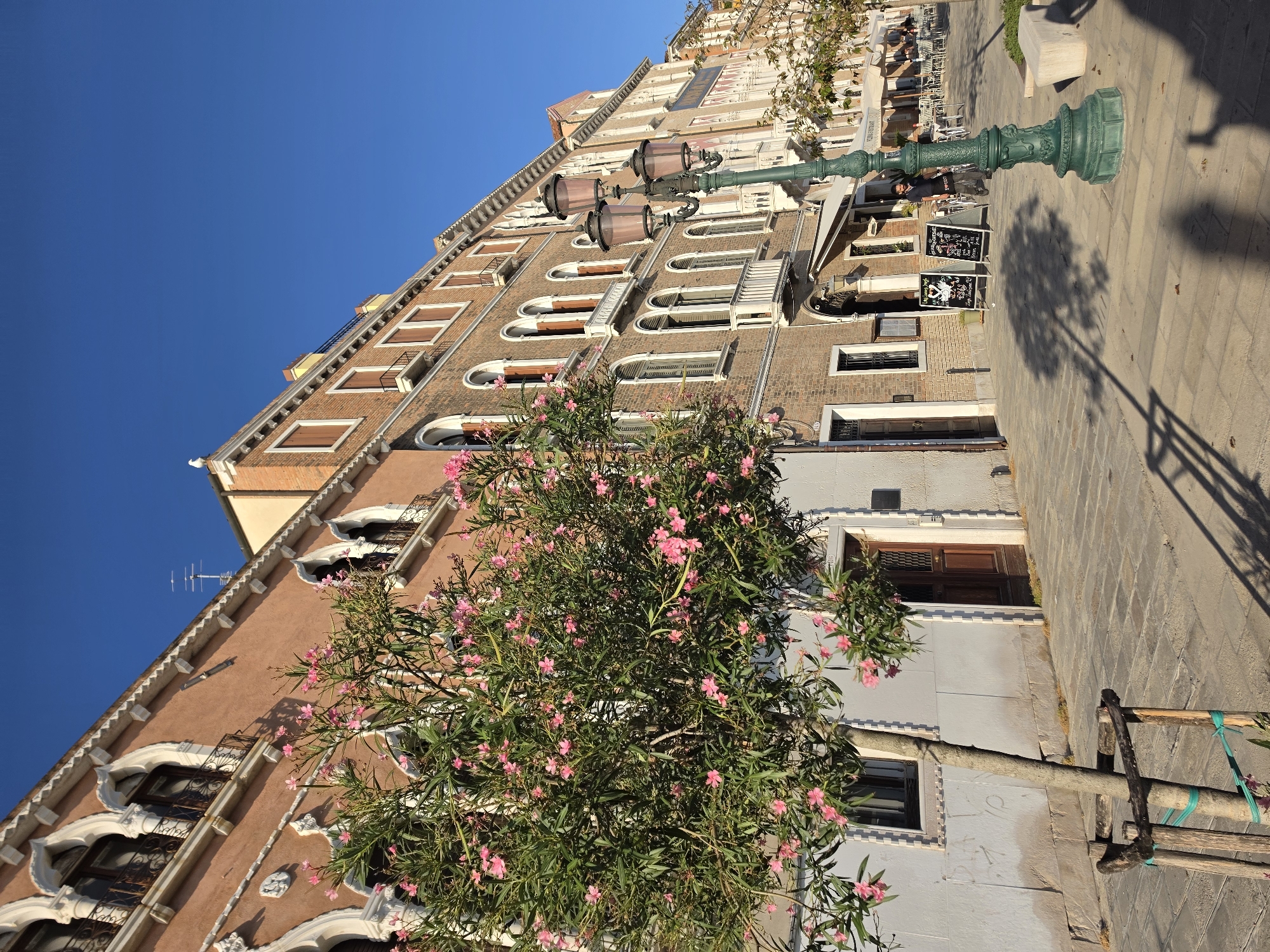 An outdoor, eye-level, medium shot captures a sunlit street in Venice, Italy, with a clear blue sky. In the foreground, a young tree with pink flowers is positioned to the left, with its base supported by wooden stakes and green ties. The tree's branches extend towards the right, casting a shadow on the paved walkway. Adjacent to the tree is a building with a light-colored facade, featuring a dark wooden door and a window. To the right of this building, a multi-story brick building with arched windows and decorative white trim rises, housing a restaurant. A dark green lamppost with three lamps stands on the walkway in front of the brick building. A man in dark clothing is walking away from the camera in front of the restaurant, casting a shadow on the ground. The walkway is paved with square stones, and a light-colored bench is visible further down the street on the right. Several tables and chairs, indicative of outdoor dining, are set up in front of the restaurant. The overall scene depicts a peaceful street in Venice on a bright day.