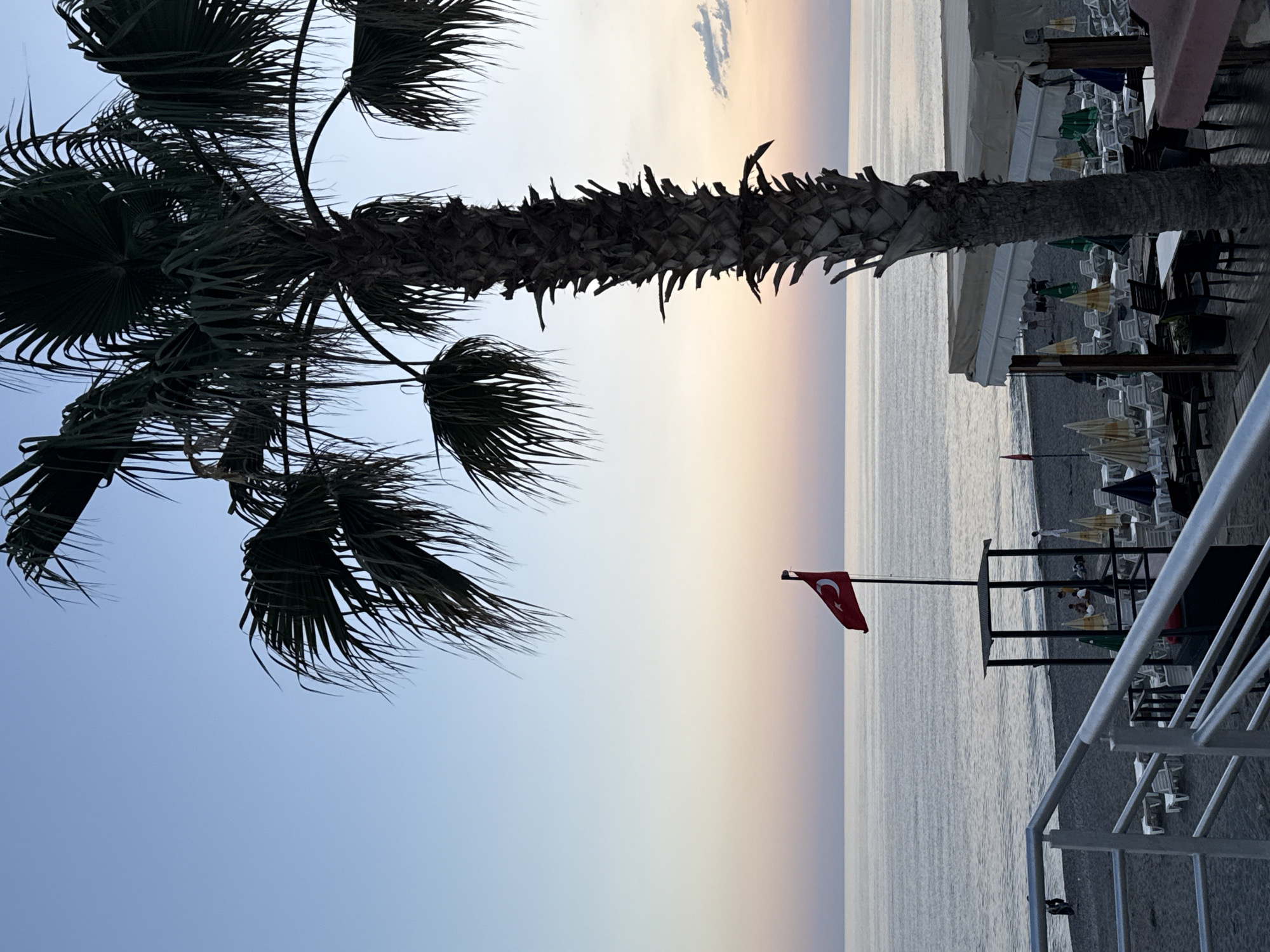 A vertically-oriented shot shows a beach scene, likely at sunset or sunrise, with a palm tree on the left and the ocean with a Turkish flag on the right. The sky fades from light blue at the bottom to a soft orange-pink towards the horizon. The palm tree is dark green, nearly black, with fronds fanning out against the sky. The Turkish flag is red with a white crescent moon and star, flying atop a pole near the water. The beach is lined with lounge chairs and umbrellas, suggesting a resort or tourist area. A railing, presumably from a balcony or elevated walkway, is visible in the lower right corner. The overall ambiance is serene and beachy. The location is unknown, but the presence of the Turkish flag suggests it is in Turkey.