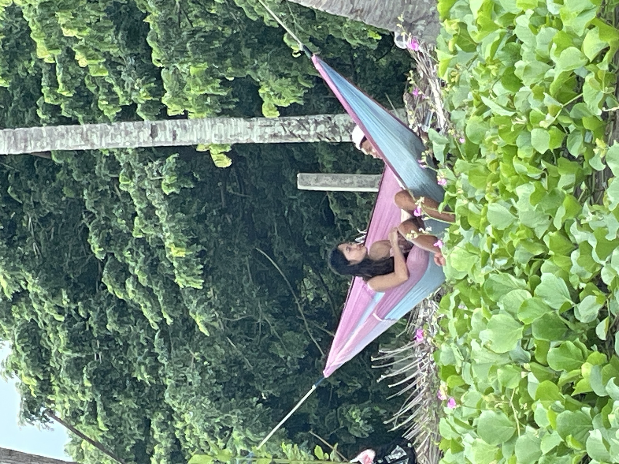 In Dauin, Philippines, two individuals are relaxing in a pink and blue hammock suspended between two palm trees. The woman on the left, with long dark hair, is wearing a dark-colored bikini top and is looking towards the man on the right. The man, wearing a white cap, is partially obscured and facing away from the camera. They are situated in a lush environment with dense green foliage and tropical trees forming the backdrop. In the foreground, a thick bed of vibrant green plants with small pink flowers covers the ground. A wooden post is visible behind the hammock, and a rough, light-colored tree trunk stands to the right.