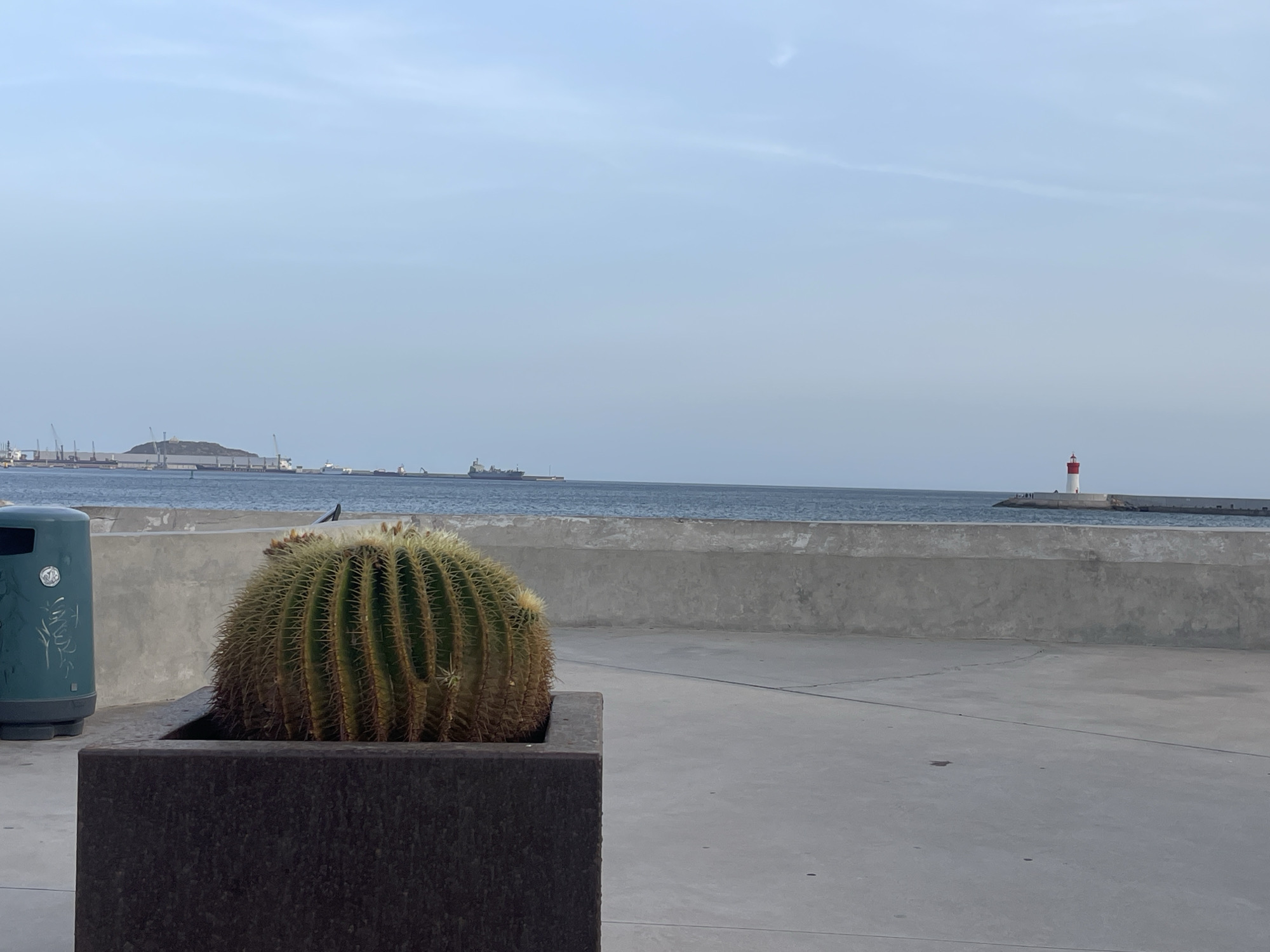 This is a photograph taken in Cartagena, Spain, near the port area. The foreground features a large, spherical cactus in a dark, rectangular planter. To the left of the planter is a tall, green trash receptacle with some graffiti on it. Behind the planter and trash receptacle is a concrete walkway, bordered by a low, grey concrete wall.
Beyond the wall, the sea stretches out under a pale blue, hazy sky. Several cargo ships and a tugboat are visible on the water in the middle distance. Further in the distance, a lighthouse with a red and white top stands on a breakwater extending into the sea. The horizon line is clear, separating the sea from the sky, and on the far left, industrial cranes and structures are visible on land, indicating the proximity of a port. The overall scene suggests a coastal promenade or public space.