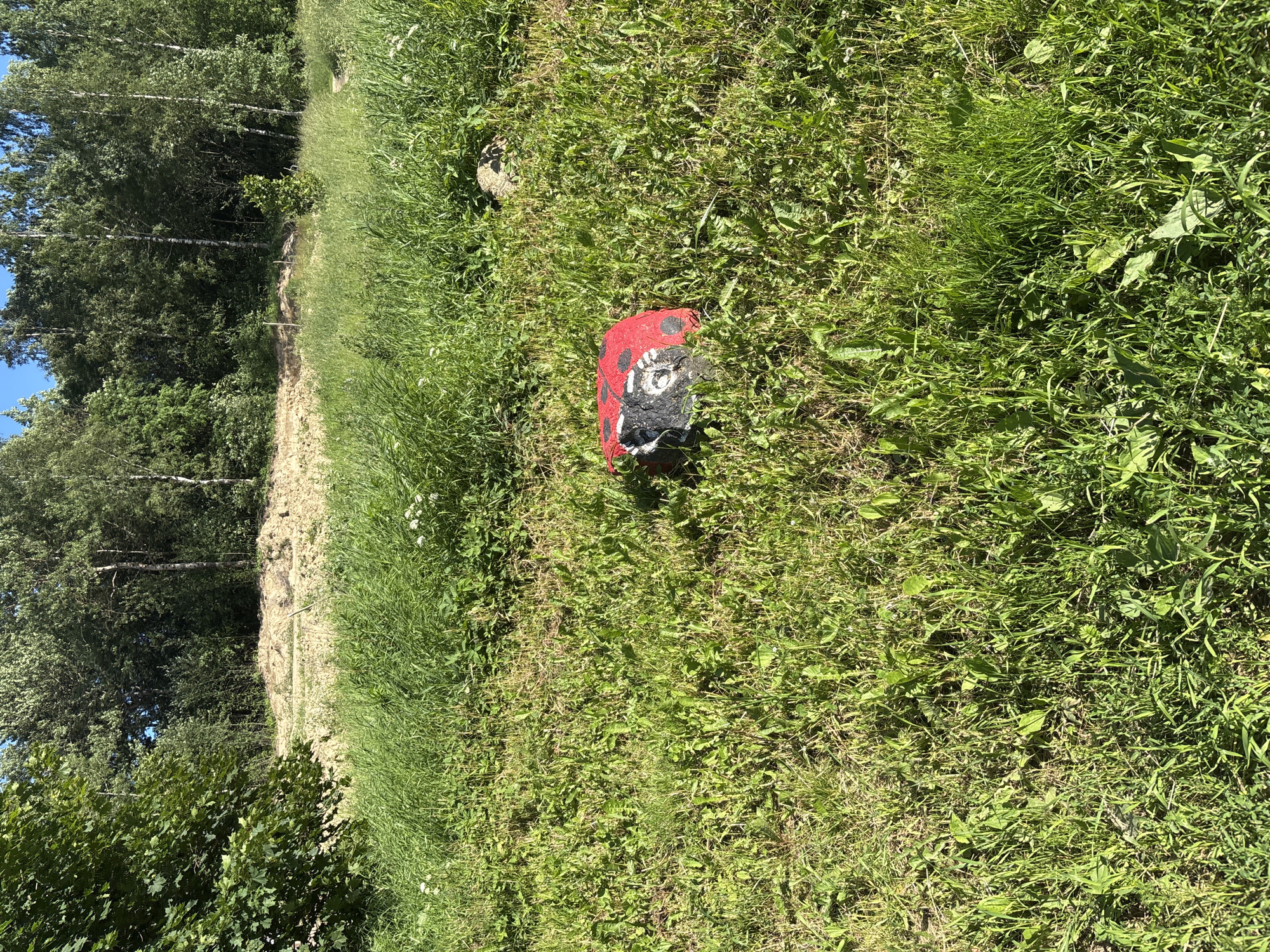 The image shows a close-up view of a marker partially submerged in lush green grass. The marker is red with black spots and white paint details, suggesting it might be decorated to resemble a ladybug, with a black circular design and what appears to be the number "10" painted in white. The marker is positioned on a grassy slope, with more dense vegetation visible in the background. To the left of the grassy area, a wooded area with trees and a clear blue sky can be seen. The lighting suggests it is daytime, likely sunny due to the bright illumination and clear sky. The environment appears to be natural and outdoors, possibly a park, field, or roadside. No people are visible in the image. The text "10" is clearly visible on the marker. The scene is static, with no activity taking place other than the natural growth of the vegetation. The location context is Янино-2, Russia.