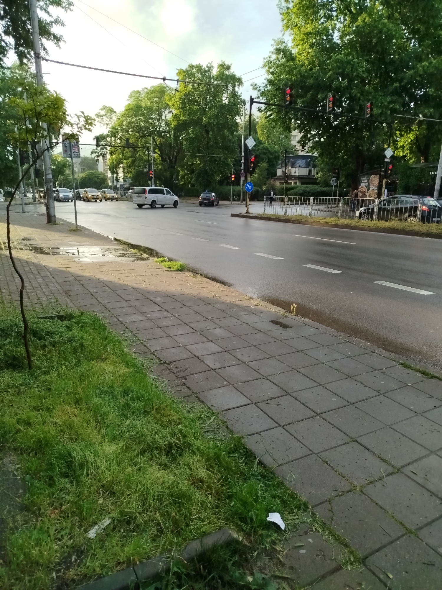 An urban street scene in Varna, Bulgaria, is captured from a slightly elevated perspective beside the sidewalk, looking down a wide, wet road lined with trees. The time of day appears to be late afternoon or early morning, with soft, bright light filtering from the upper left, casting long shadows across the concrete paver sidewalk and the grassy verge.
Several vehicles are present on the multi-lane road, some stopped at a red traffic light visible further down the street. A white van is prominent in the middle distance, followed by several yellow taxis and a dark sedan. A black SUV is parked or stopped on the far right. The road surface is visibly wet, suggesting recent rain or dew. White dashed lines mark the lanes.
On the left, a grassy area with recently mown clippings borders the sidewalk. A thin, bare sapling or branch stands in the foreground. The sidewalk itself is composed of rectangular grey pavers, with puddles of water visible in depressions. Further along the sidewalk on the right, white metal barriers separate it from the road. Lush green trees line both sides of the street, with large, leafy canopies dominating the upper half of the image.
Notable details include multiple traffic lights displaying red, indicating stopped traffic. Overhead, power lines crisscross the sky. Several traffic signs are visible: a blue circular sign with a white arrow pointing right, and two white diamond-shaped signs. A prominent white directional sign on a pole lists Bulgarian cities: "БУРГАС" (Burgas), "ВАРНА" (Varna), and "ДОБРИЧ" (Dobrich), along with "ОБЛАСТНА АДМИНИСТРАЦИЯ" (Regional Administration), confirming the location. Another sign on the right, partially obscured, advertises "ПИЦА" (Pizza) and possibly "НОВО МЕНЮ" (New Menu). A piece of white litter is visible on the grass near the sidewalk in the foreground.