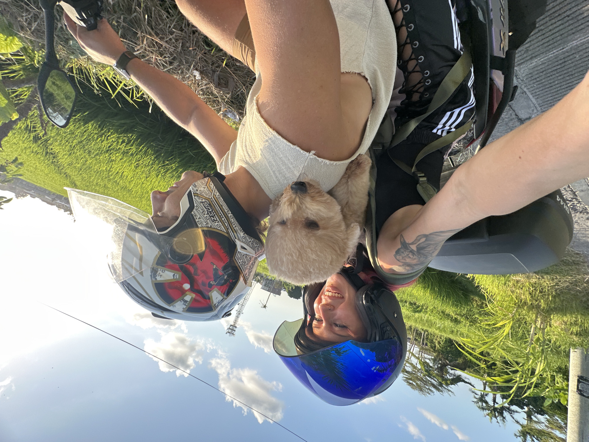In North Kuta, Indonesia, a man and a woman ride a motorcycle through a rural area. The woman is in front, wearing a black tank top and black pants with white stripes and criss-cross detailing. She has pink hair and is wearing a blue helmet with a reflective visor. A small, tan poodle is perched on her shoulders, peeking over her helmet. The man is behind her, driving the motorcycle. He is wearing a white, sleeveless top and a helmet with a graphic design featuring red and black accents. Both individuals are wearing helmets, indicating safety precautions. The background shows lush green fields and tall grasses, characteristic of a tropical landscape. The sky is blue with scattered white clouds and the sun is setting, casting a warm golden light over the scene. The motorcycle has a black storage box mounted on the back.