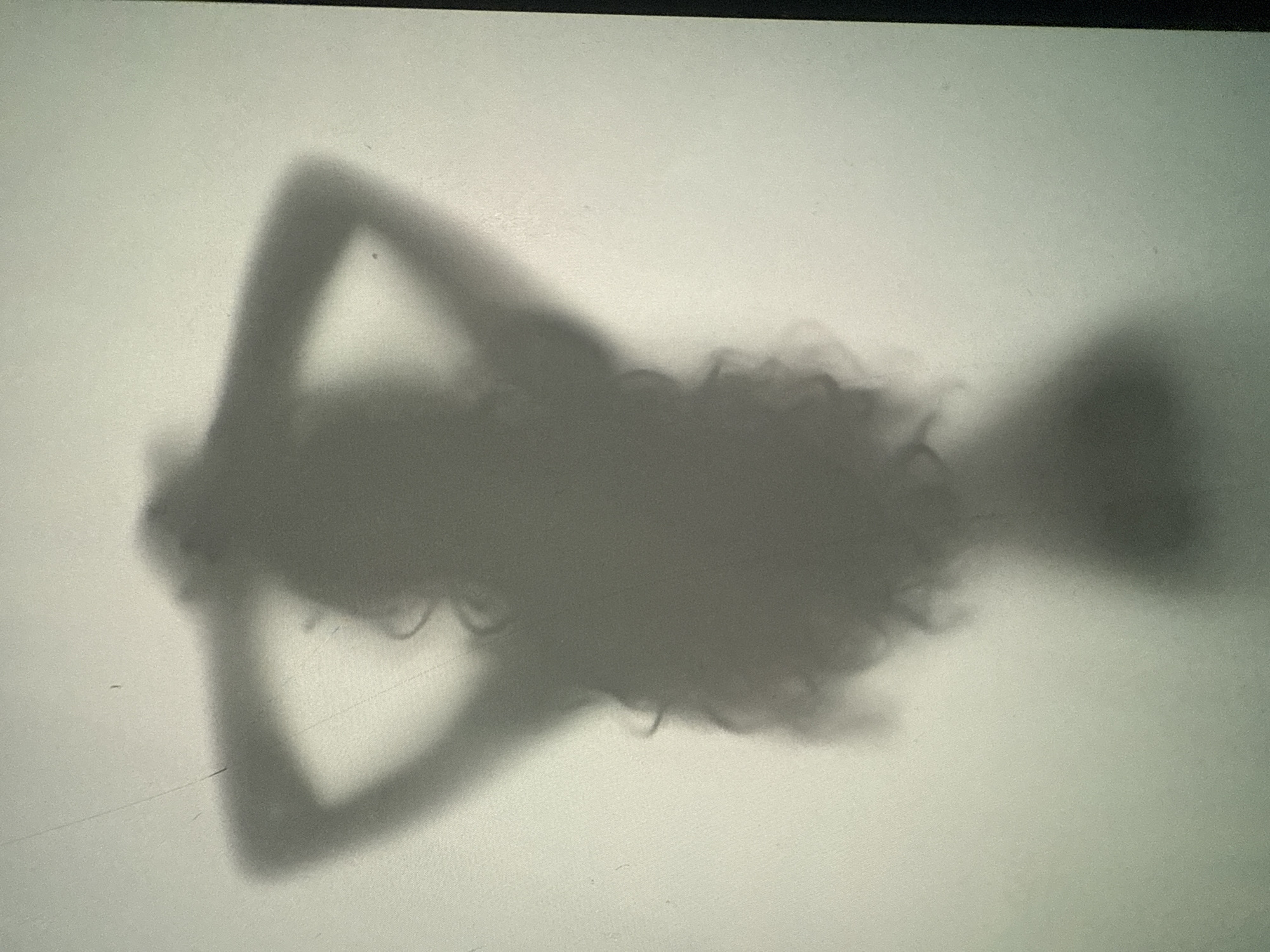 A silhouette of a person with long, curly hair is cast against a blurred background. The person's arms are raised, with hands behind their head. The silhouette is dark and indistinct, with only the general shape of the body visible. The background is a light, hazy gray, suggesting it is out of focus or obscured by a material like frosted glass. There is no discernible urban environment or specific location identifiable in the image.