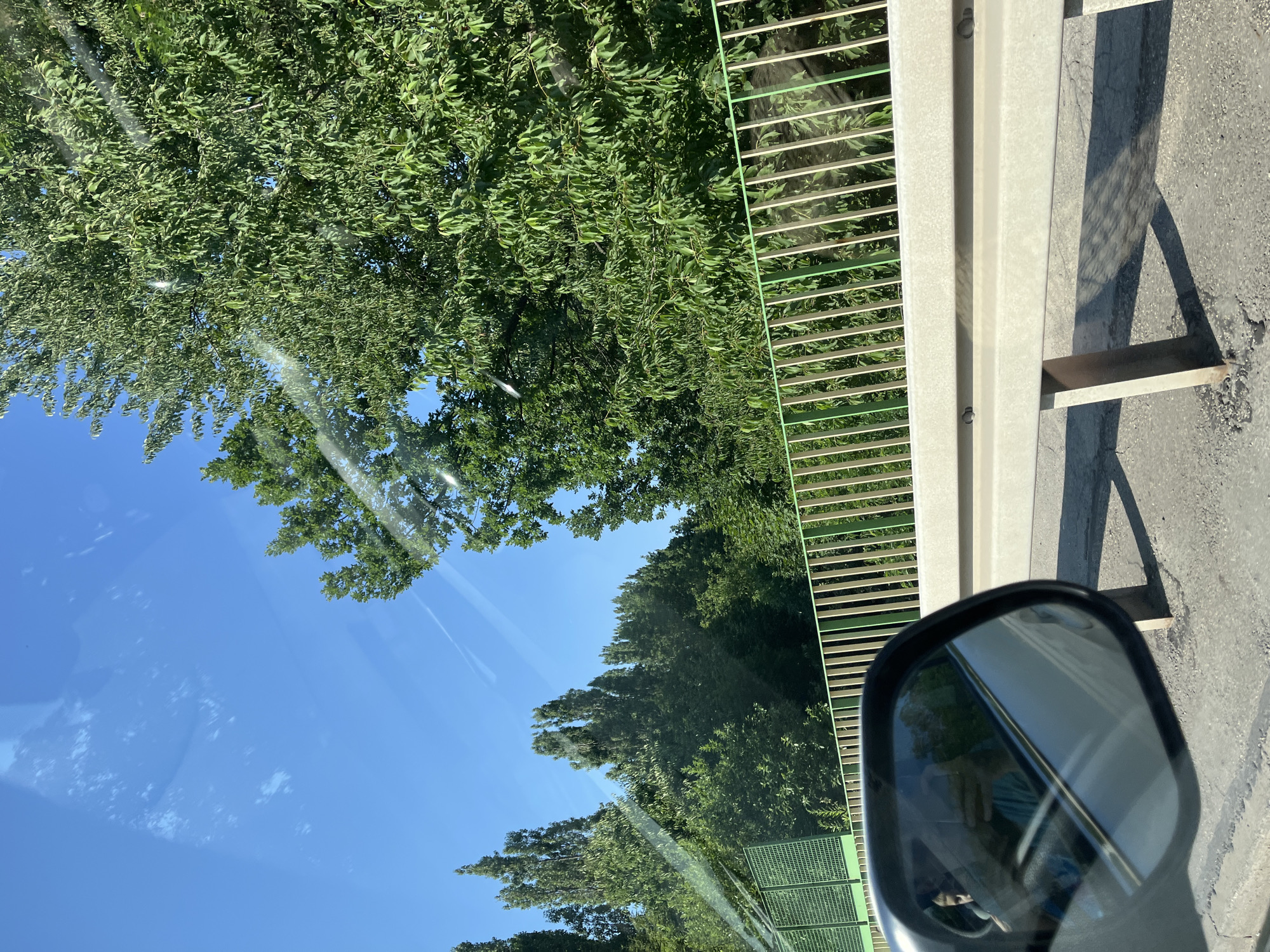 An outdoor, eye-level, medium shot captures a driver's-side mirror reflecting the driver, who is wearing a teal shirt and holding up a smartphone, presumably to take the photo. The mirror is attached to a silver vehicle's interior door, also reflecting a portion of the driver's face. The car is on a roadway, indicated by the asphalt and a concrete barrier with a metal guardrail on top. The guardrail features vertical, light-colored bars with a green mesh behind them, and behind that, dense green foliage. The sky is clear blue with faint white streaks, and sunlight creates lens flares across the image. The scene appears to be a highway or main road, surrounded by tall trees.