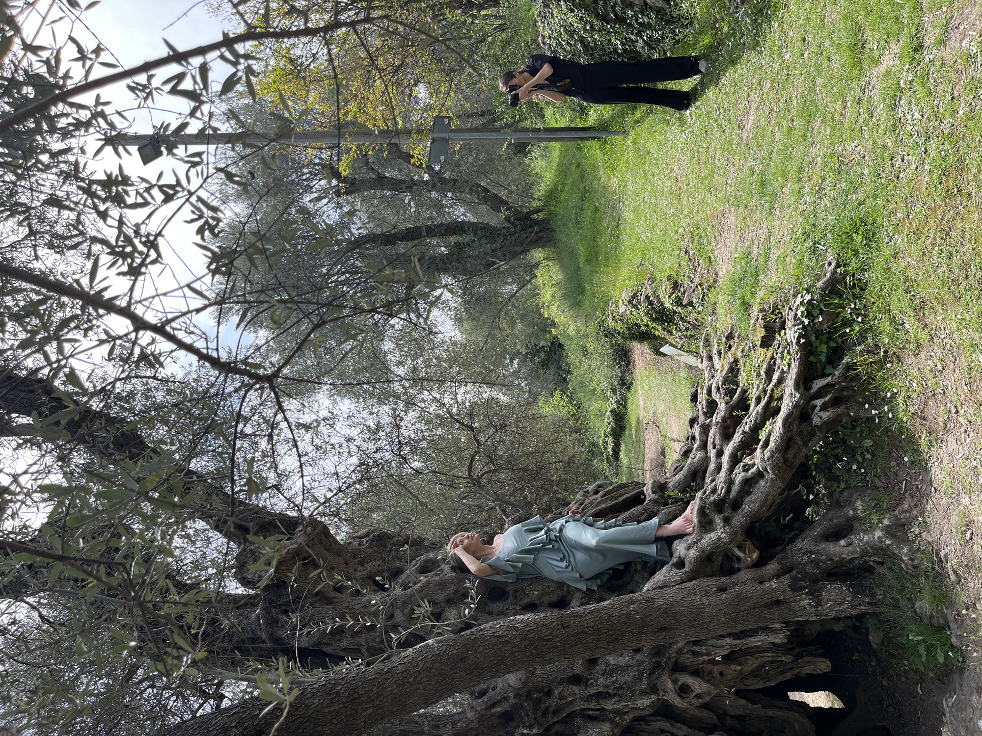 An outdoor photoshoot is captured in this image, set within a lush, green natural environment. The primary subject is a woman gracefully posing, lying down on the massive, gnarled trunk and roots of a very old tree, possibly an olive tree, given its distinctive textured bark and sparse, elongated leaves. She wears a light blue, flowing dress and is barefoot, with her eyes closed, suggesting a serene or contemplative mood.
Further back, on a grassy dirt path, another woman stands, actively engaged in photography. She is dressed in a black t-shirt and black trousers and is holding a camera with a visible "Nikon" strap, aiming it towards the posing woman. The path is bordered by thick, vibrant green grass and some smaller plants, including ivy, and scattered small white flowers.
The background features more trees and dense foliage, creating a verdant backdrop. Above, the bright sky is visible through the canopy of leaves, indicating it is daytime, likely with bright, diffused light. A wooden utility pole or crossbar, from which a small, dark object hangs, is noticeable in the middle ground, adding a touch of human infrastructure to the natural scene. The overall impression is one of natural beauty and artistic endeavor.