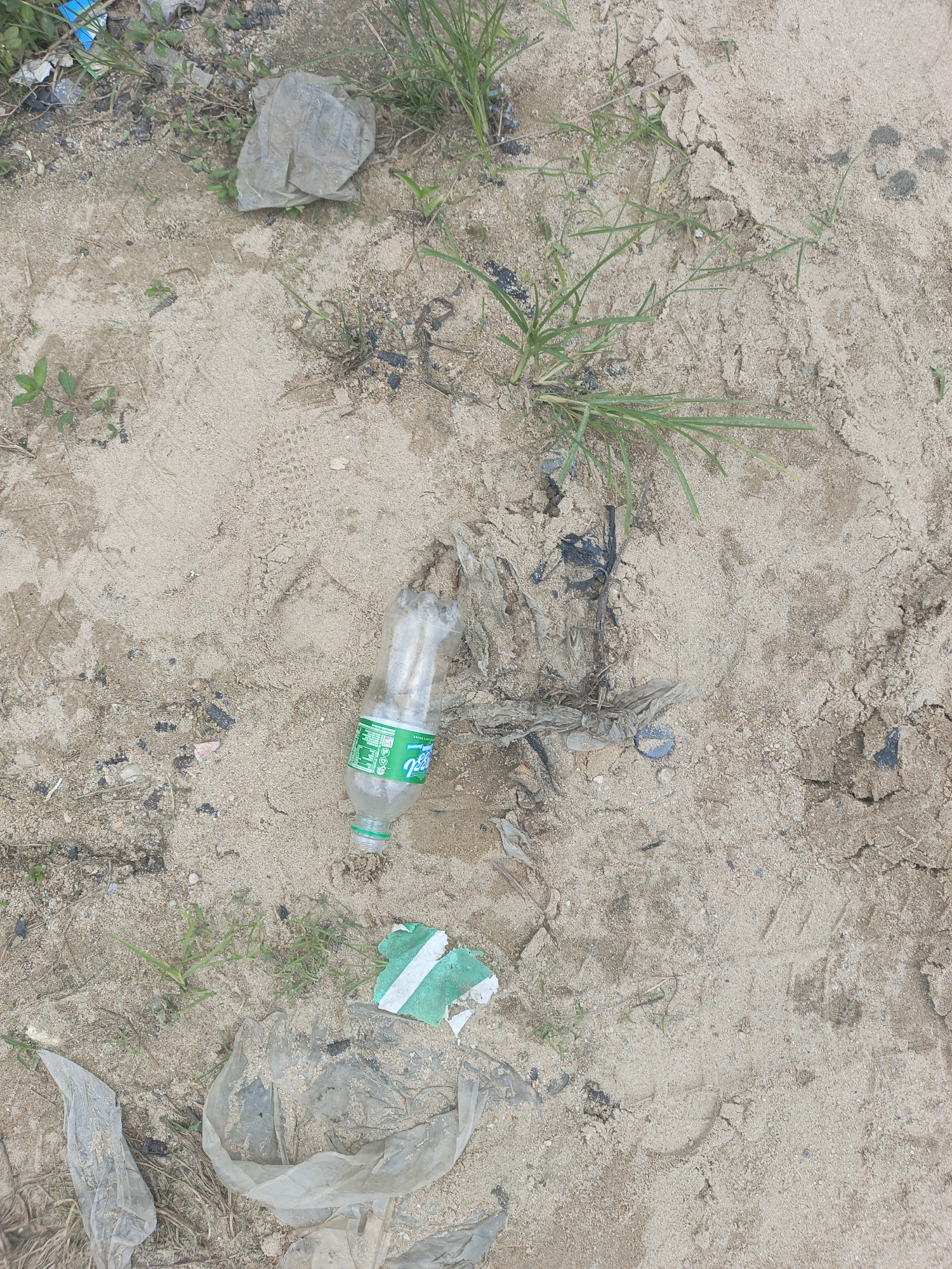 The image presents a scene of environmental pollution, with various pieces of trash scattered on a sandy surface. A plastic water bottle with a green label lies horizontally in the middle of the frame. Surrounding the bottle are pieces of plastic bags, scraps of what appears to be a striped wrapper, and other unidentifiable debris. Patches of green grass and small plants are sparsely distributed throughout the sand. The environment is indicative of an area where littering has occurred, suggesting a lack of proper waste disposal. The location is an unidentified area within the city of Unknown, Unknown.