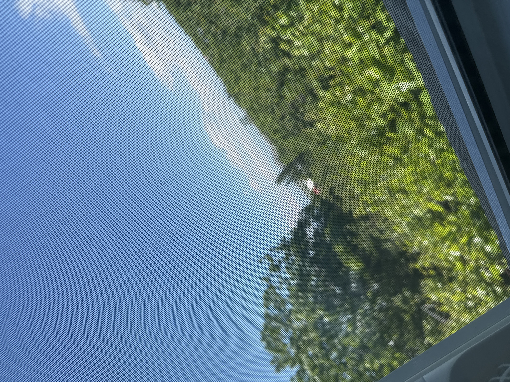 The image presents a view through a window screen, offering a glimpse of a bright outdoor scene. The fine mesh of the screen is sharply in focus, creating a prominent grid pattern that diagonally spans the entire frame.
The upper left portion of the image, seen through the screen, features a clear, vivid blue sky. Hints of soft, white clouds are faintly visible against the bright expanse. This suggests a sunny and clear day.
The lower right and central areas of the view are filled with lush, vibrant green foliage from trees. The leaves appear well-lit by sunlight, displaying various shades of green and conveying a sense of natural density. The mesh distorts the clarity of the leaves slightly but allows their color and general shape to be perceived.
A segment of a window frame, likely made of a light-colored material such as white or light grey, is visible along the far right edge of the image, indicating the perspective is from indoors looking out. The overall composition is angled, suggesting the shot was taken looking upwards or with a tilted camera. There are no people, animals, or discernible activities taking place, just a static, bright natural view filtered by the screen.