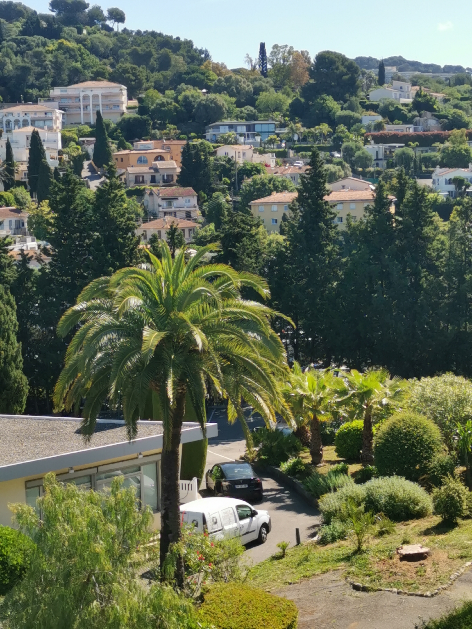 The image shows a cityscape with a hillside covered in buildings and trees. In the foreground, there is a building with a gray roof and windows, partially obscured by a palm tree. Two vehicles, a white van and a black car, are parked on a paved driveway. The landscaping includes various trees and bushes. The background features a dense cluster of buildings and trees along a sloping hillside under a clear sky. The city and location are unknown.