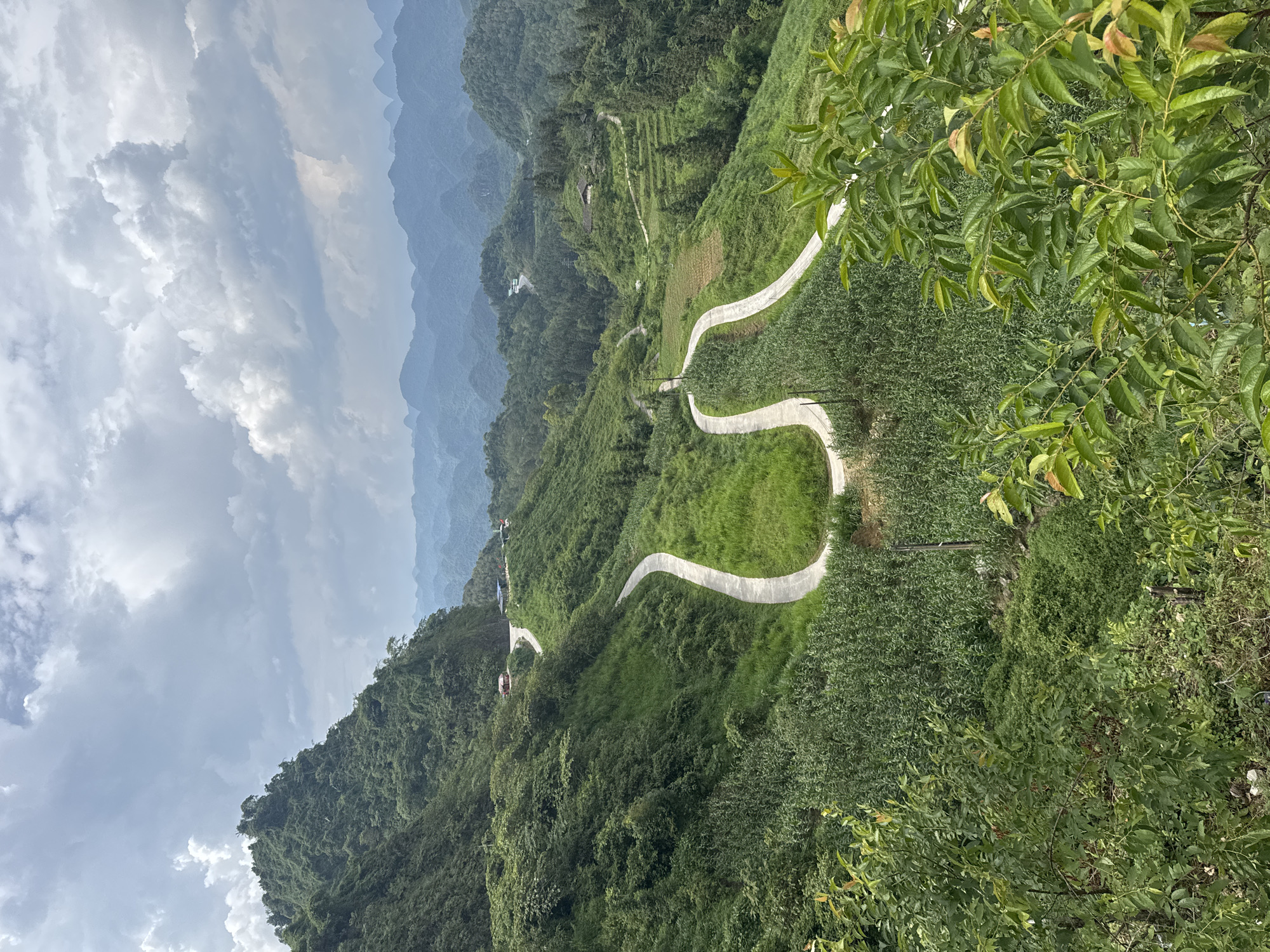 The image captures a mountainous landscape in Quản Bạ Commune, Vietnam. A winding, white concrete road snakes down a steep hillside covered in lush green vegetation. The road has several sharp curves. In the background, distant, hazy mountain ranges fade into the horizon under a cloudy sky. The foreground includes trees with green leaves partially obscuring the view. The scene is a high-angle, daytime shot showcasing the natural beauty and engineered infrastructure of the area.