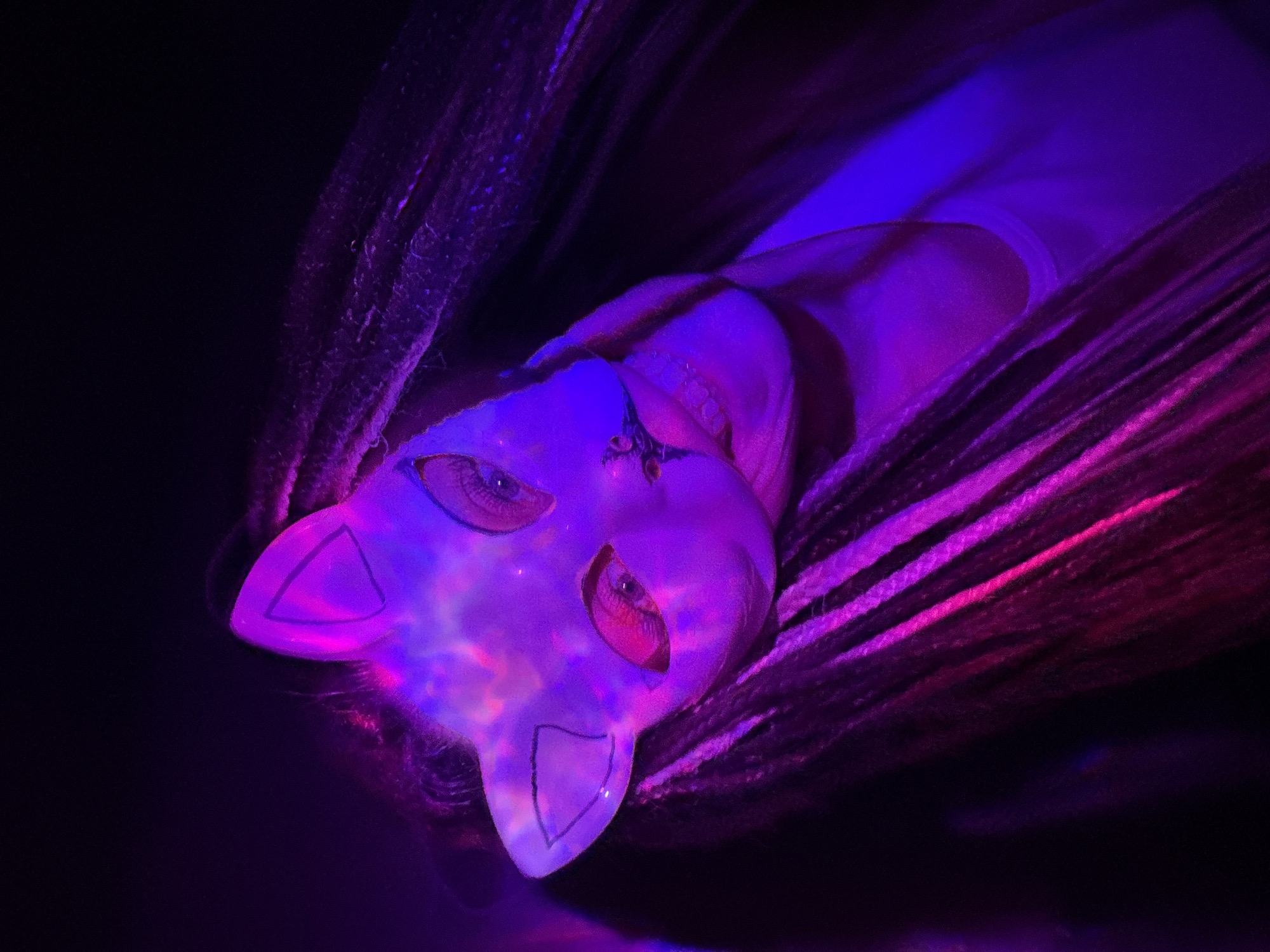 An individual is depicted in a close-up, tilted portrait under dramatic, low-light conditions, possibly blacklight or UV illumination. The central subject is wearing a luminous, cat-like mask that glows with vibrant purples, blues, and magentas, creating swirling, iridescent patterns across its surface. The mask features pointed ears and distinct eye and nose cutouts, through which the wearer's eyes are visible, looking directly towards the viewer. These eyes appear to have a reddish hue, possibly due to the intense lighting.
The person's head is framed by what appears to be long, thick hair, possibly braids or dreadlocks, which also glow with similar neon purple and magenta tones, contrasting sharply with the deep black background. The overall scene suggests a mysterious, artistic, or performance-oriented setting, such as a club, concert, or themed event. The intense color saturation and stark lighting emphasize the mask and hair as the primary focal points. No specific activity beyond posing is evident, and no text is visible within the image. The image conveys a sense of anonymity and otherworldly aesthetics, influenced heavily by the neon glow. While the location context is given as Rusanovo, Russia, no specific cues for this are discernable in the visual content.